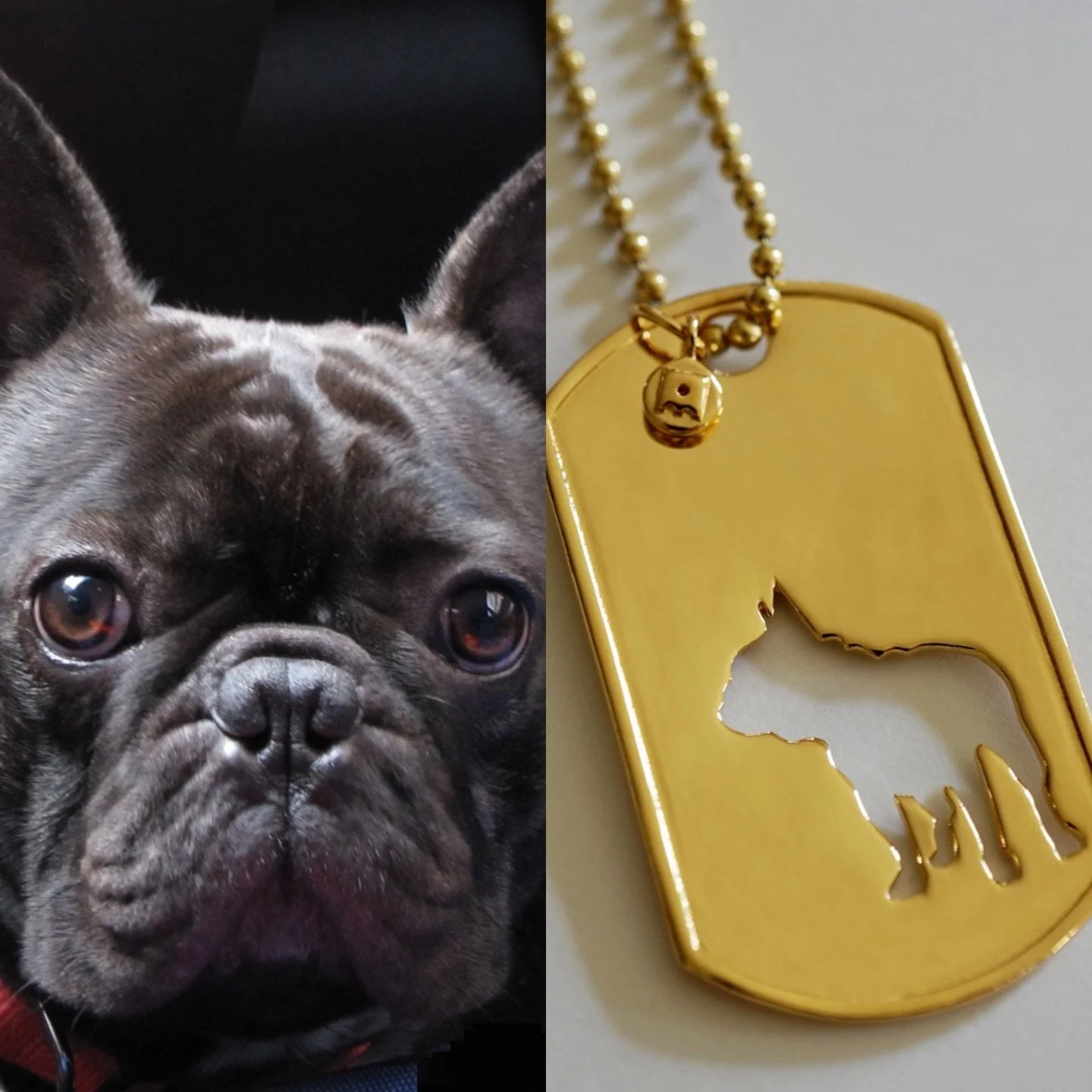 The perfect little unisex gift for a Frenchie loving friend 🧡