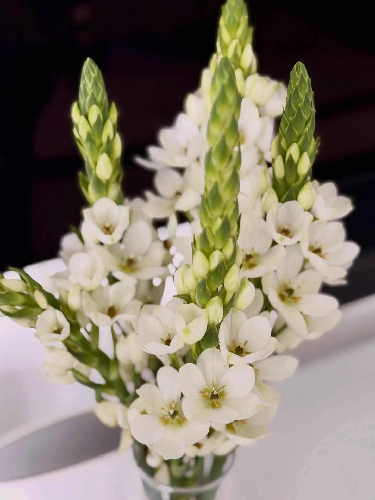 Wish everyone a very happy Easter weekend 🐣🧡