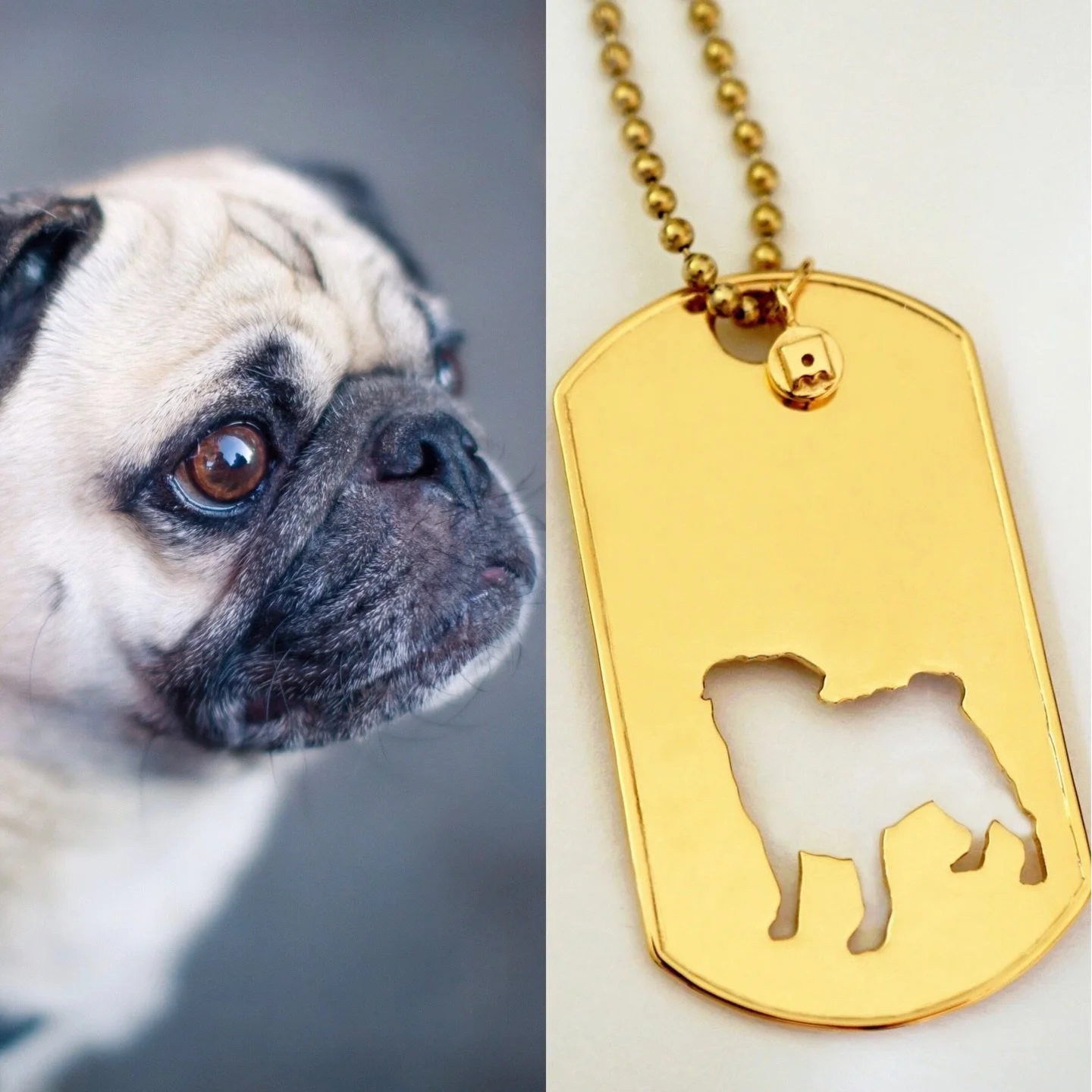 It&rsquo;s a Pug day! 🥰