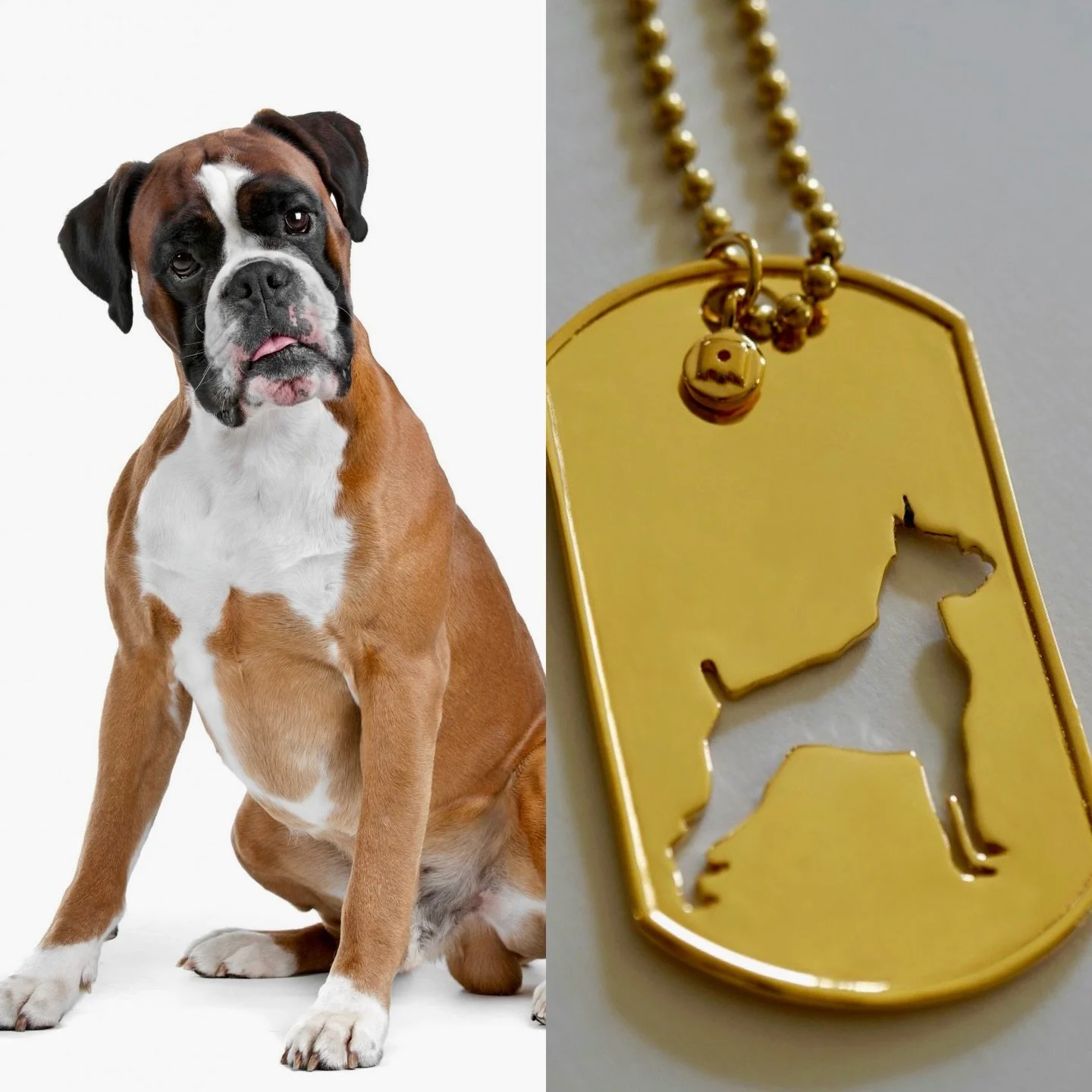 A Boxer Tag for a Boxer loving friend 🥰
