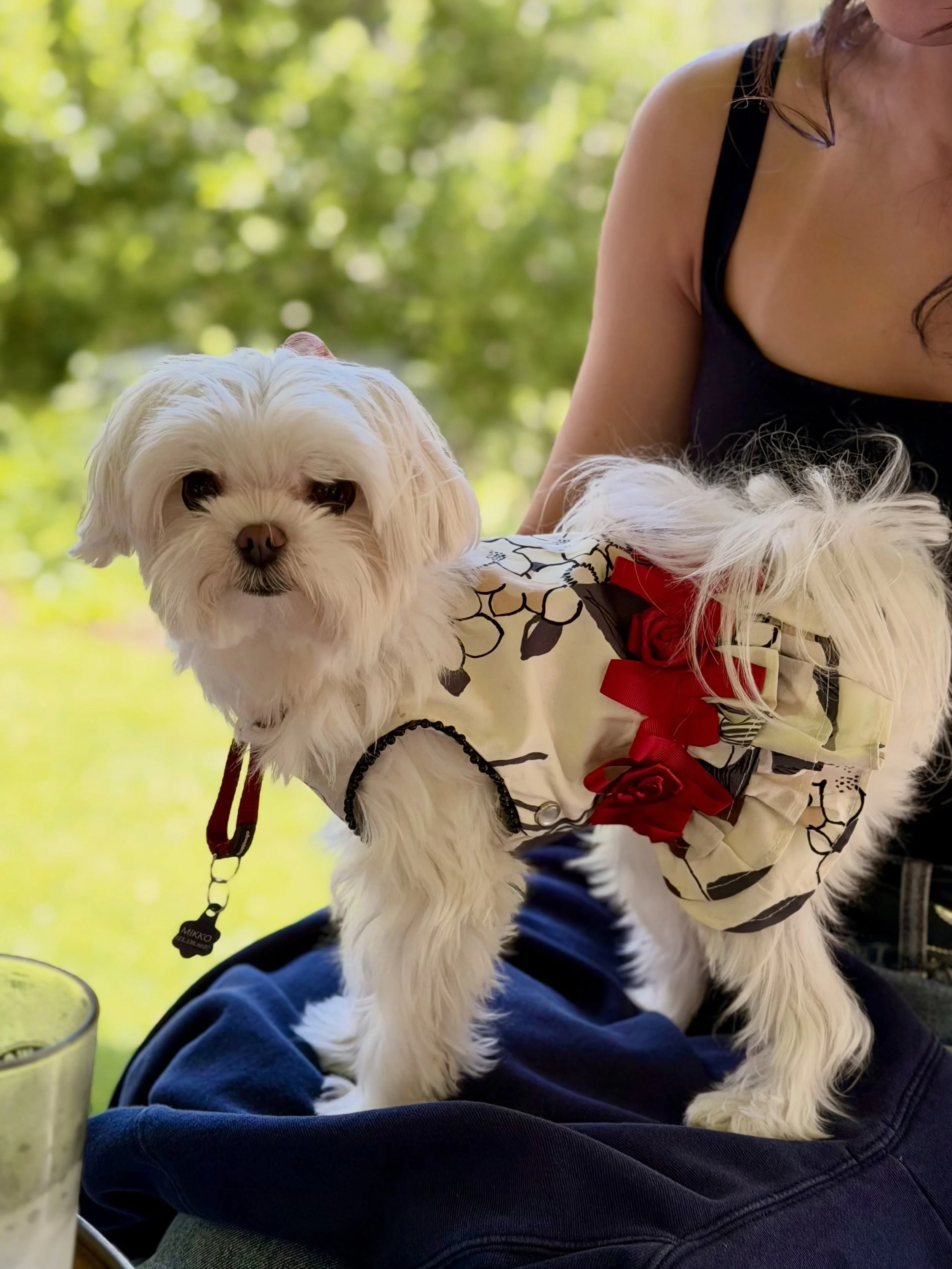 Wish you all had a wonderful Memorial Day weekend like Mikko! 😎🩷