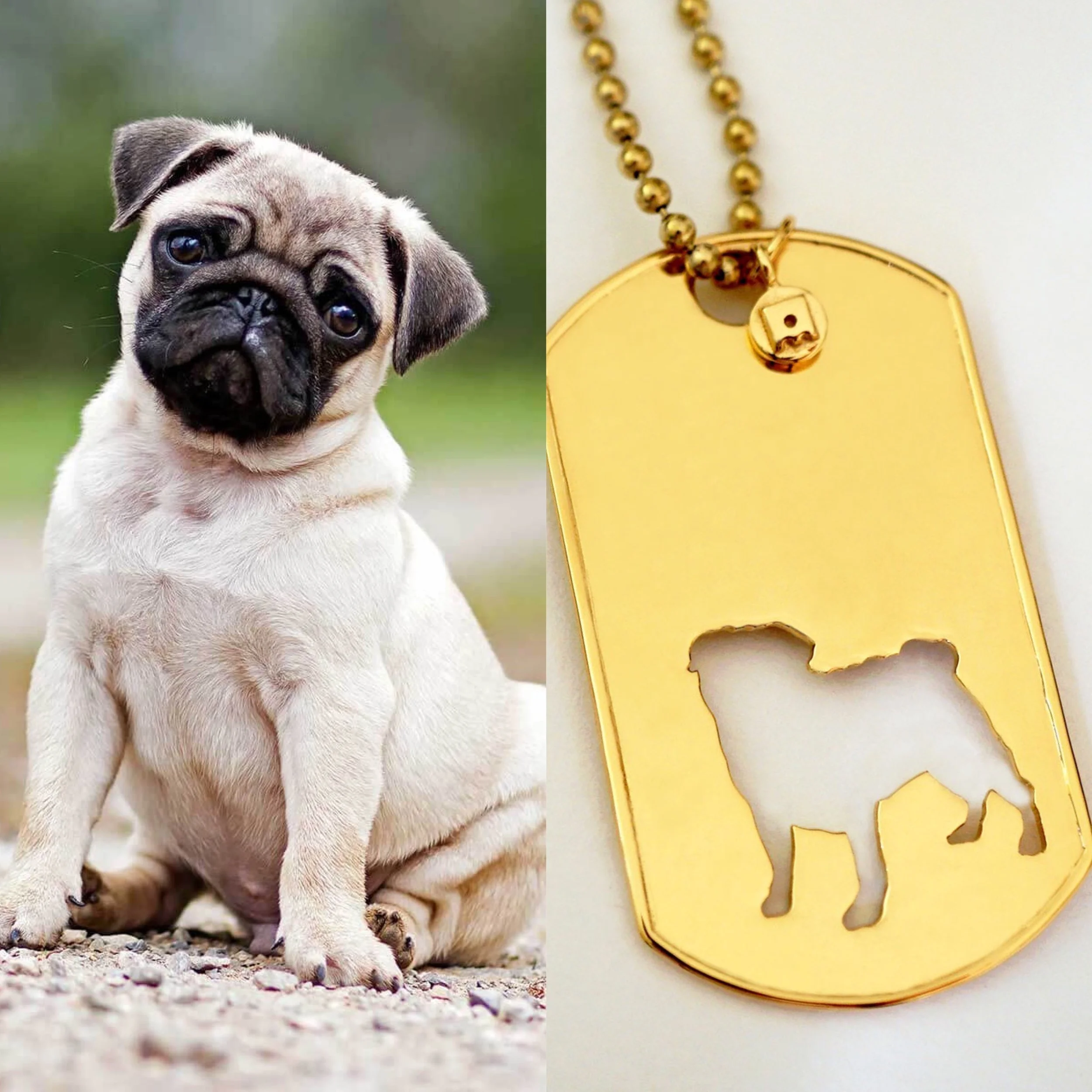 It&rsquo;s a Pug day! 🧡