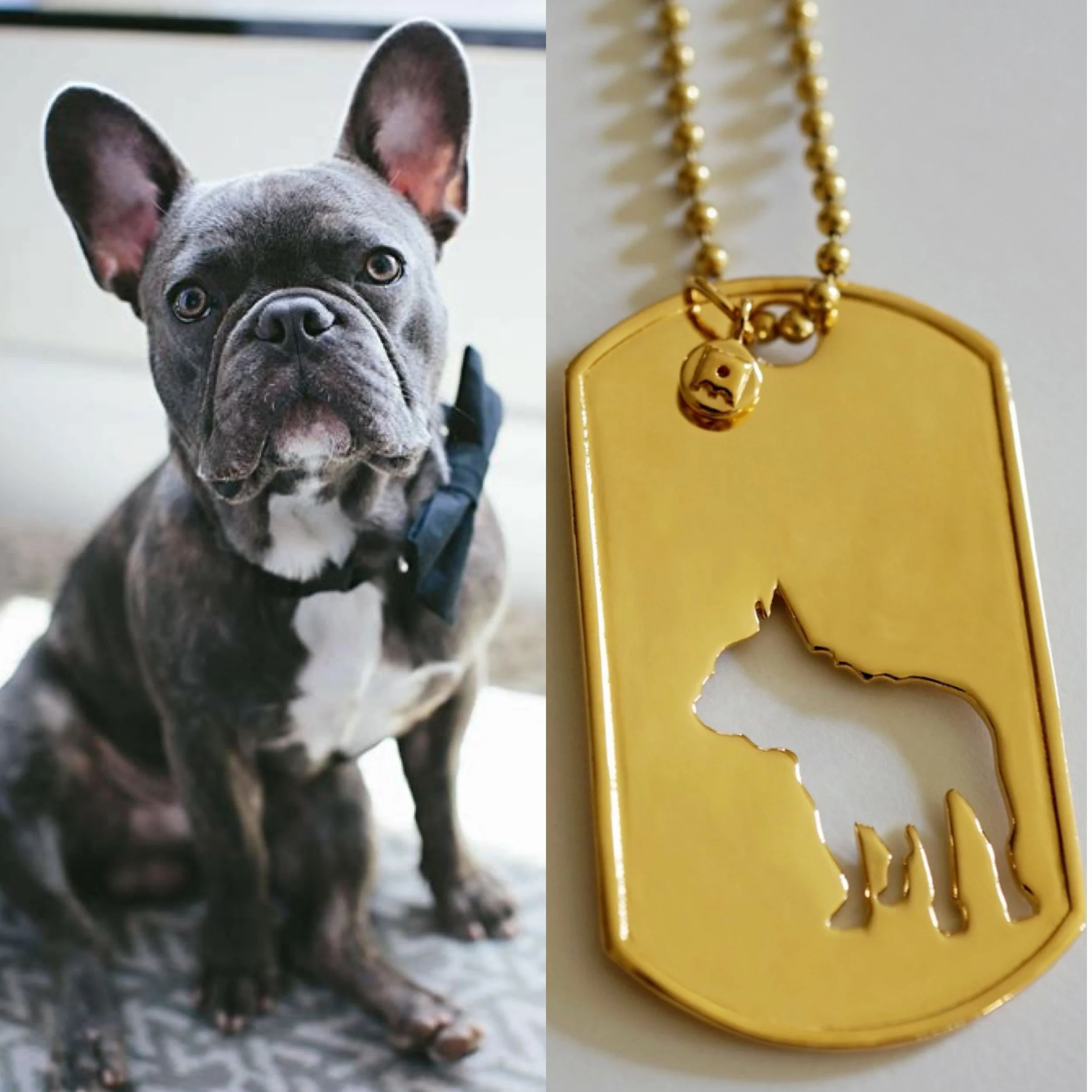 Tag your Frenchie loving friends and families 🥰