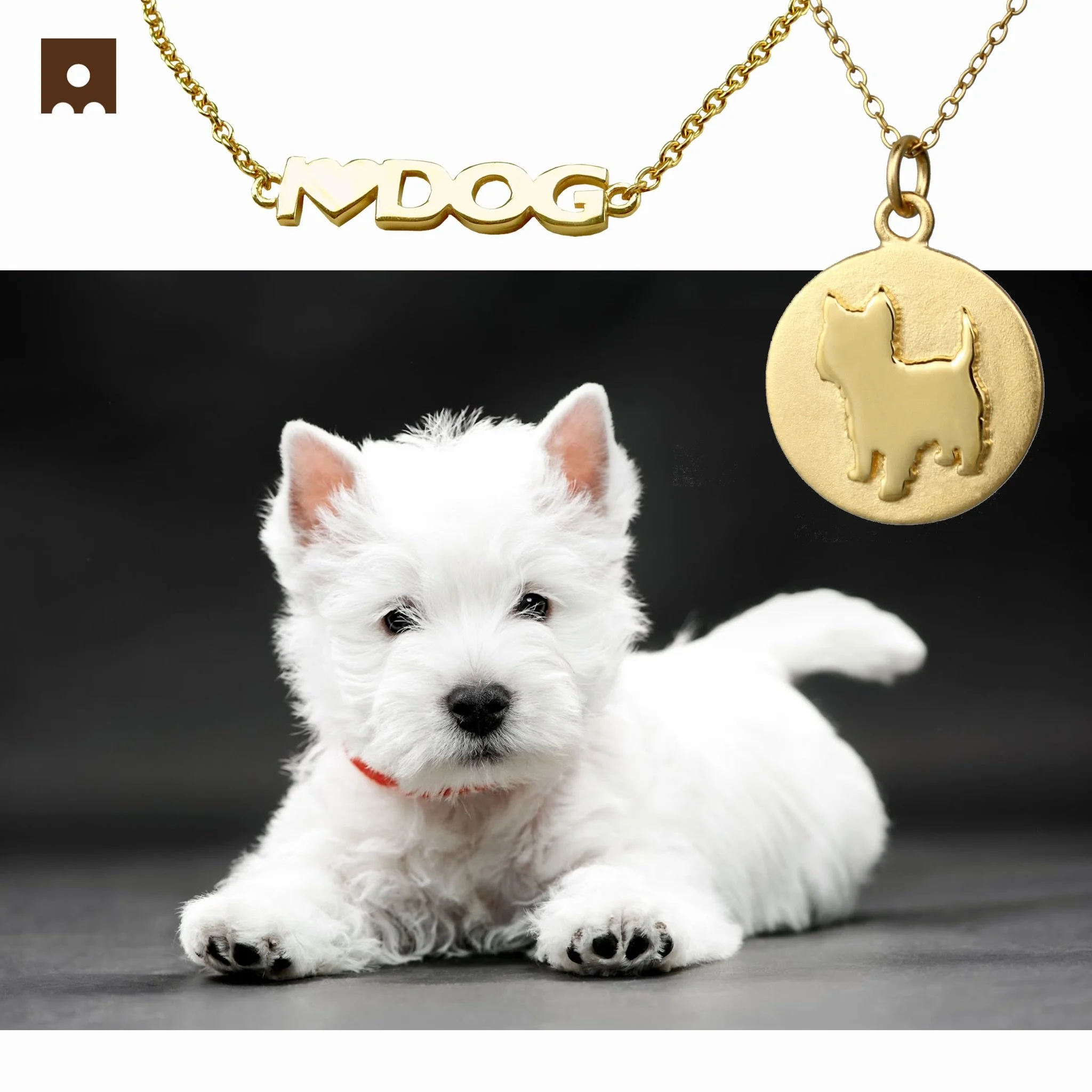 Westie 🧡