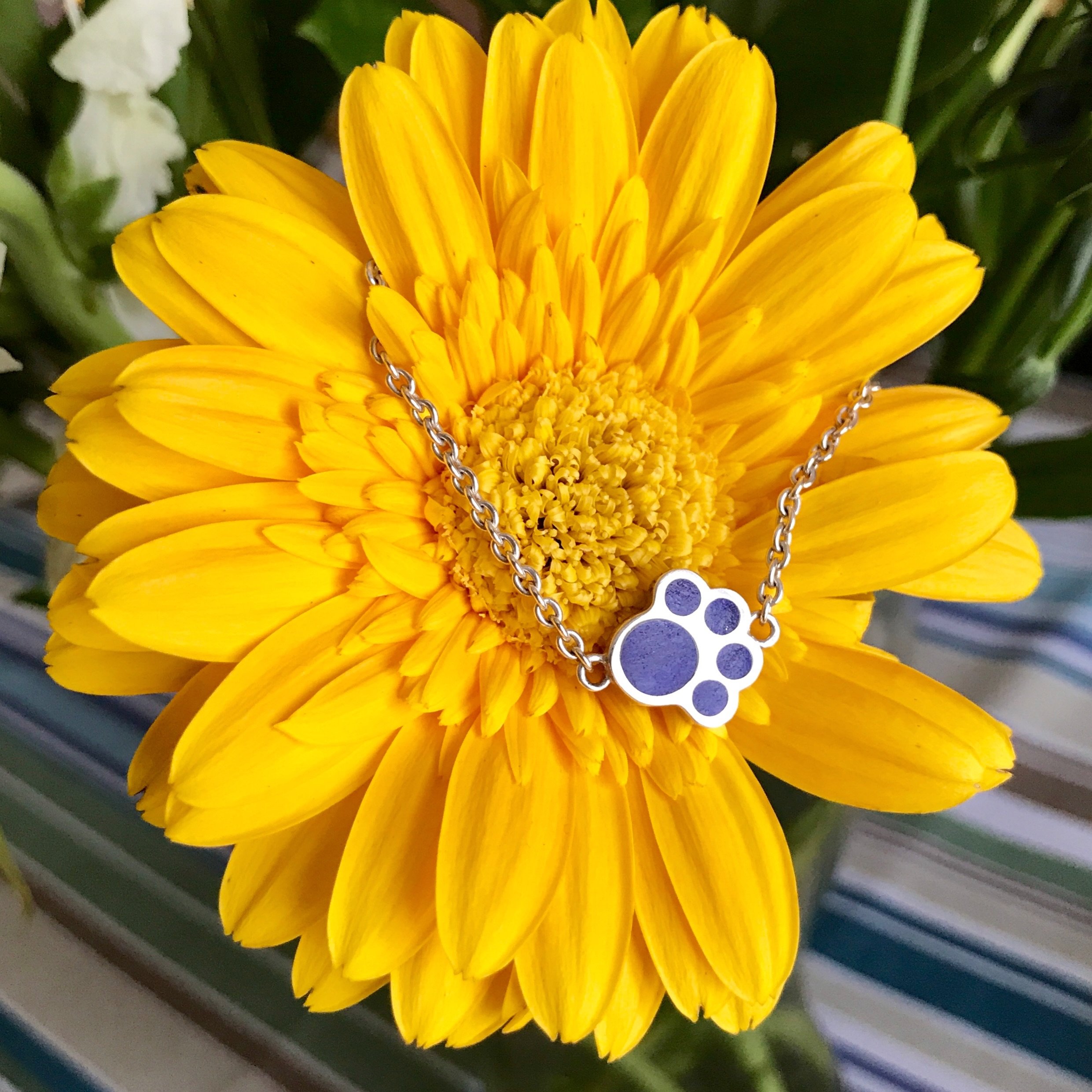 Summer love 🌼🐾💕