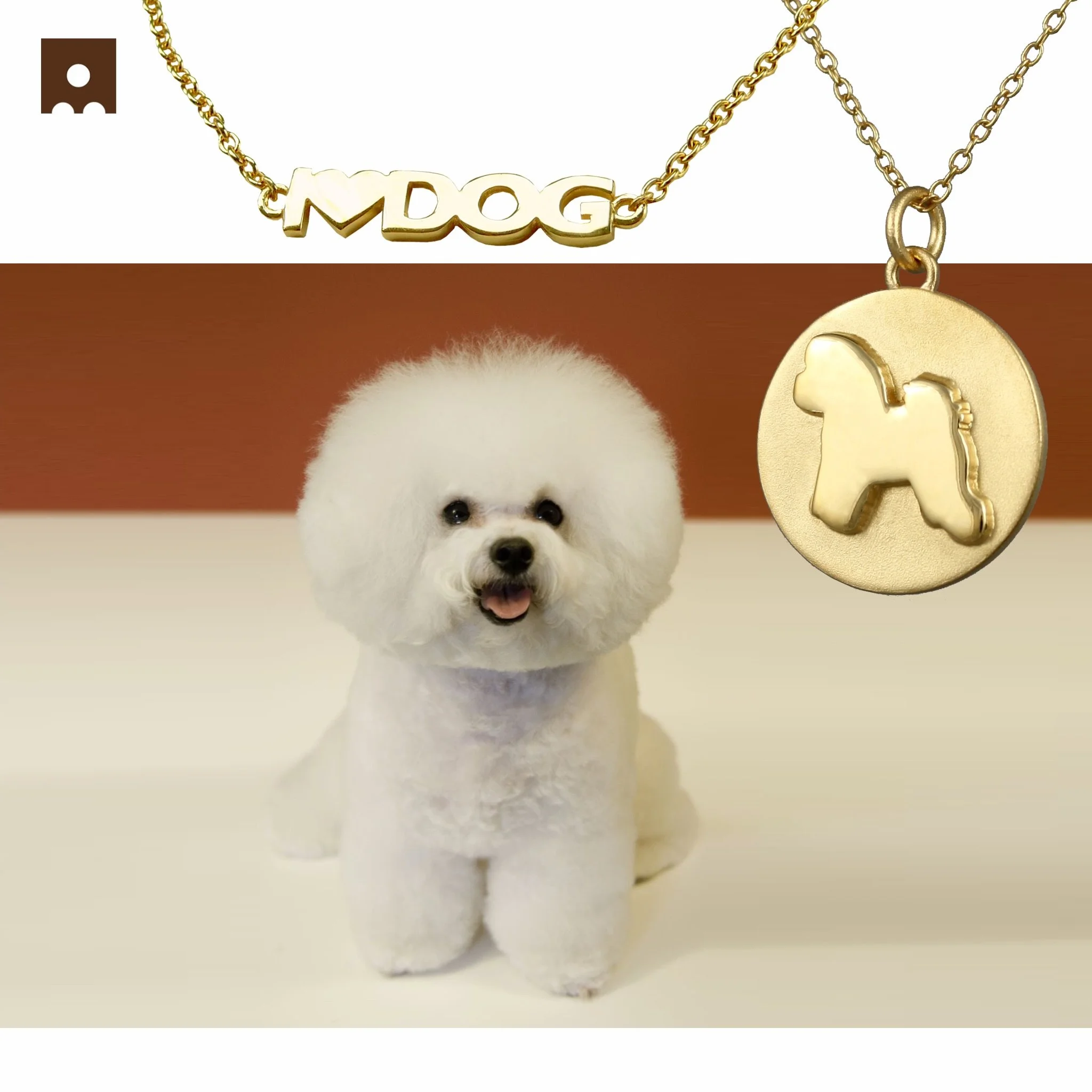Bichon 🧡
