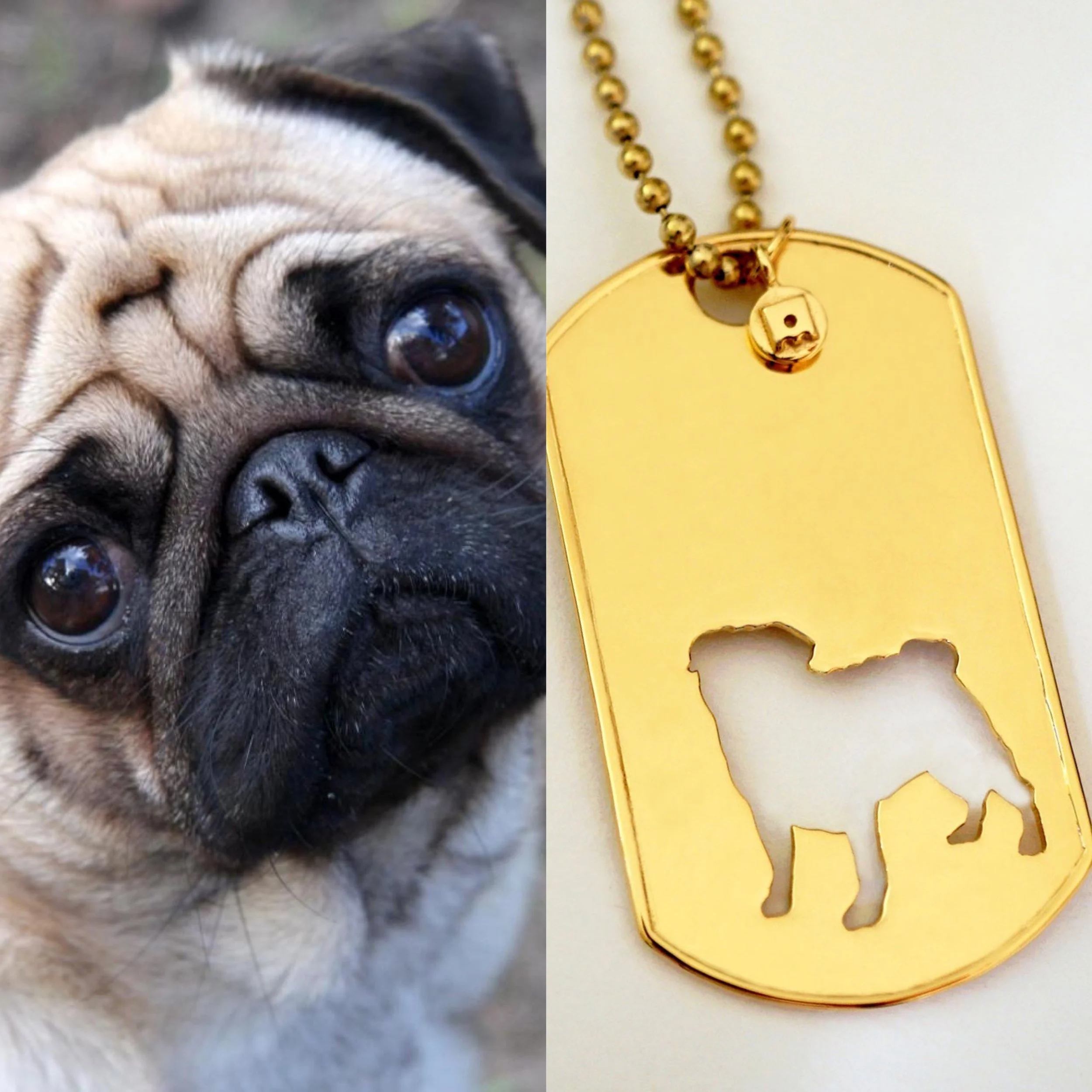 Tag your Pug loving friends and families 🥰🧡