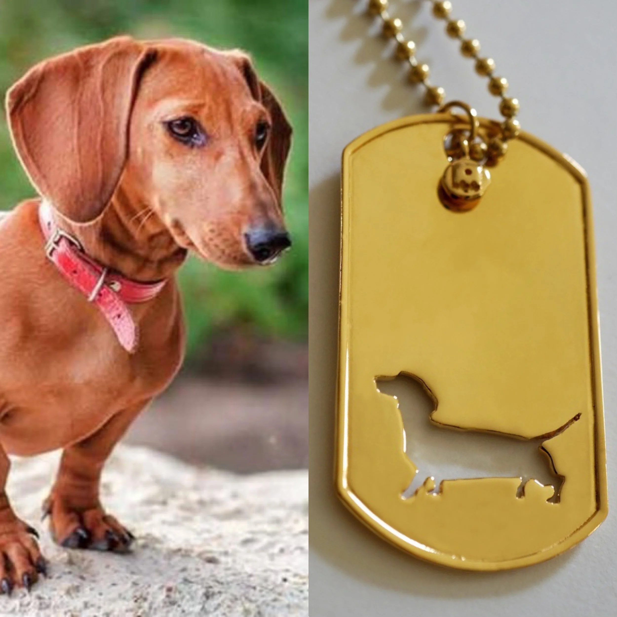 Tag your Dachshund loving friends and families 🧡🥰