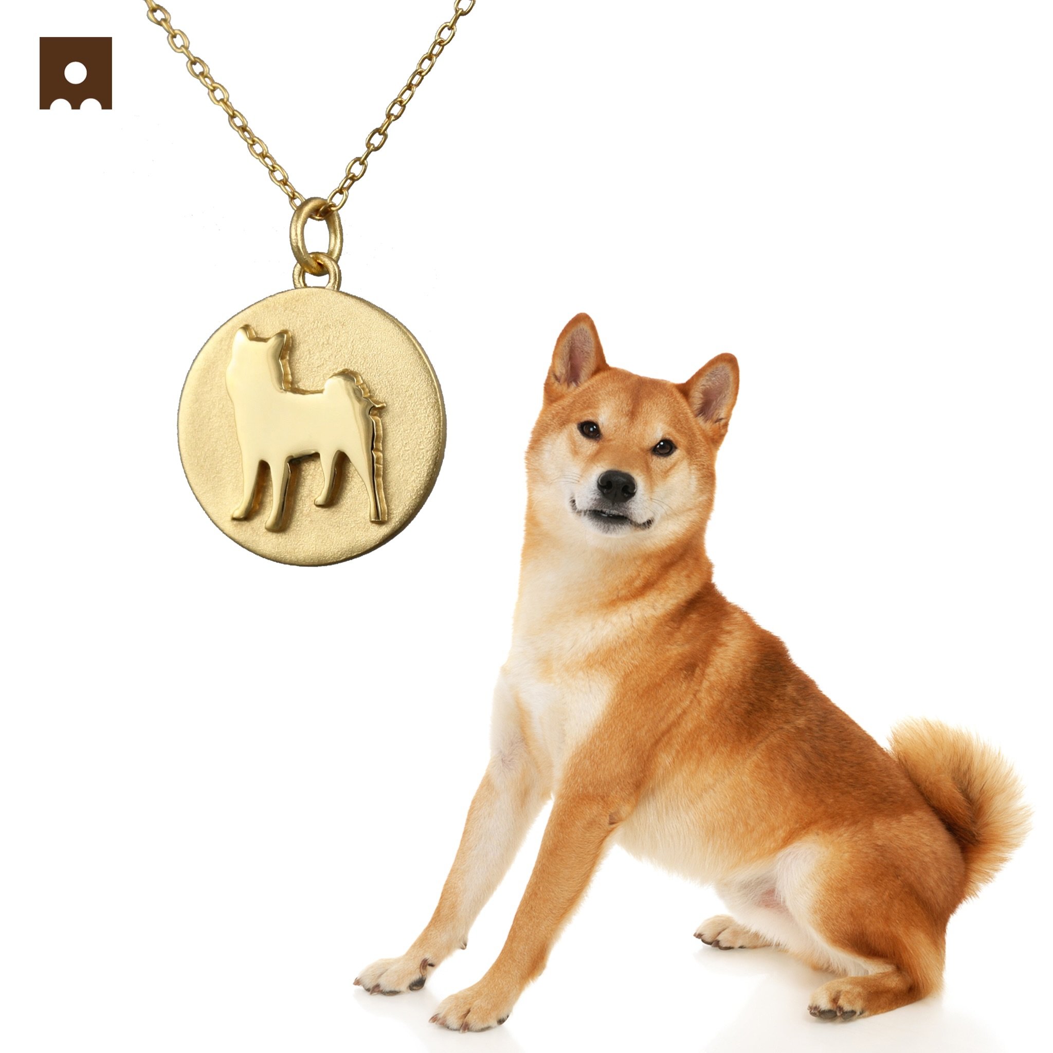 Shiba 🧡