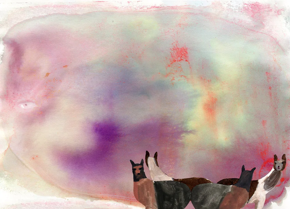 Cotton Candy Dreams