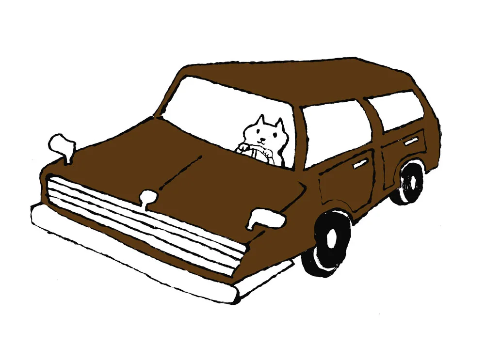 Cat Driving a Station Wagon