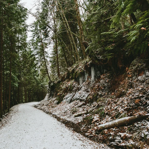 Snowy trail alongside the Cleveland Dam in North Vancouver, B.C.