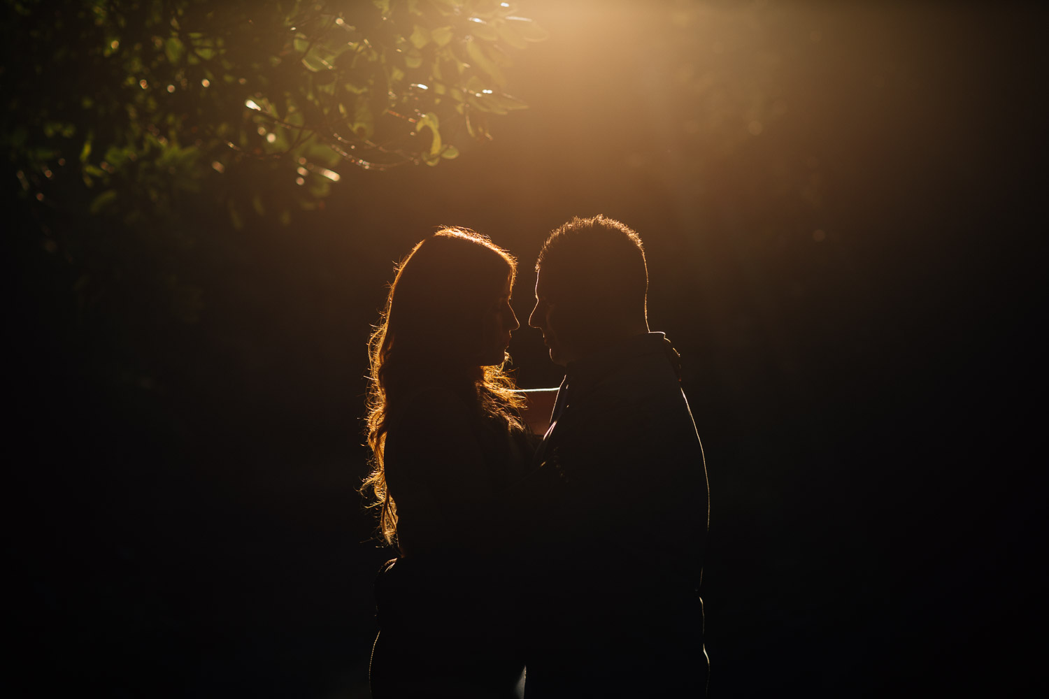 vancouver engagement photographer vandusen botanical garden sunset
