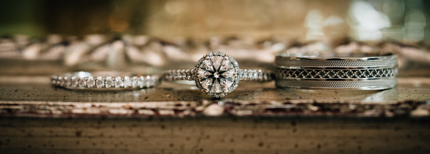 swaneset pitt meadows wedding photography reception rings