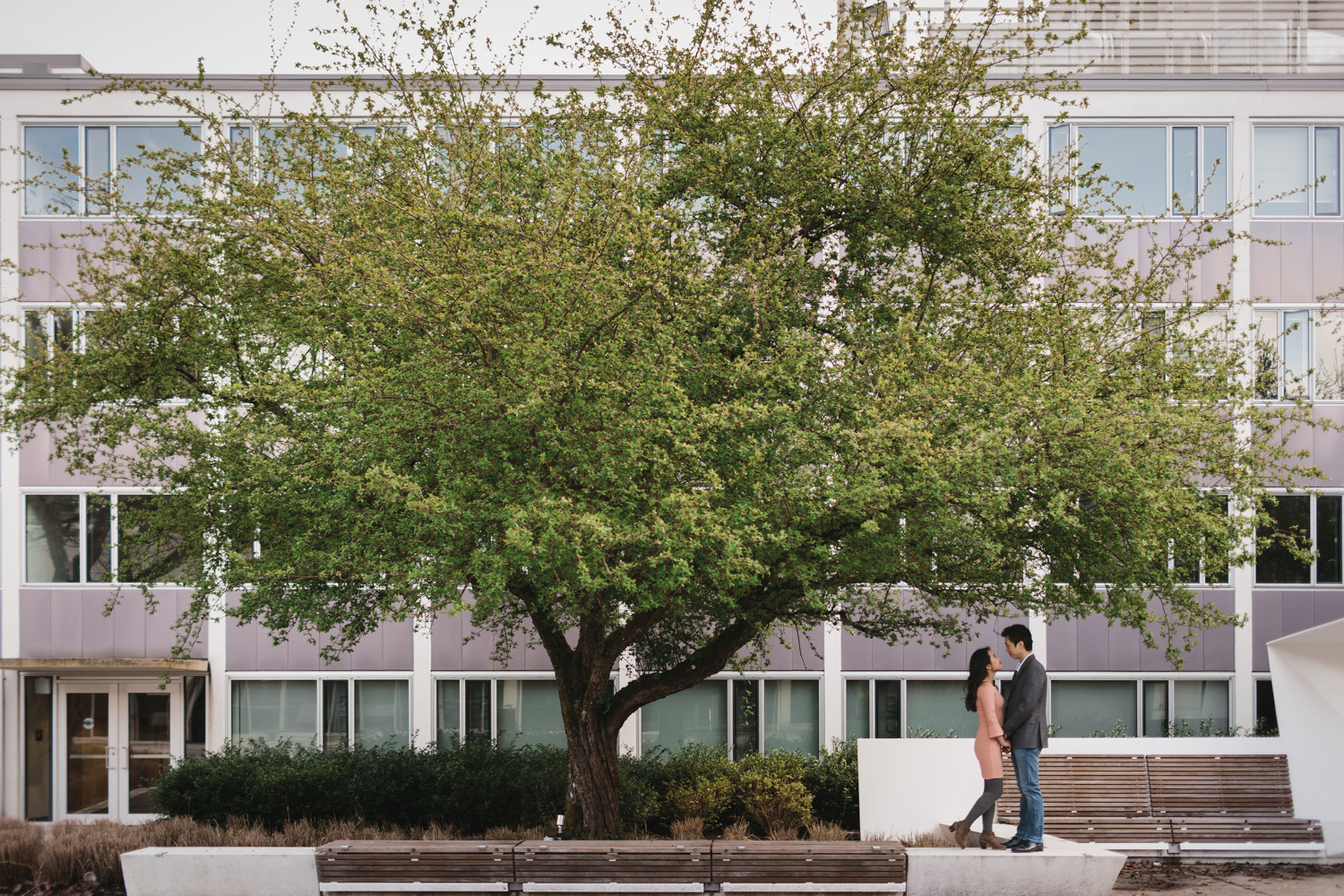 vancouver cherry blossom engagement photography at ubc