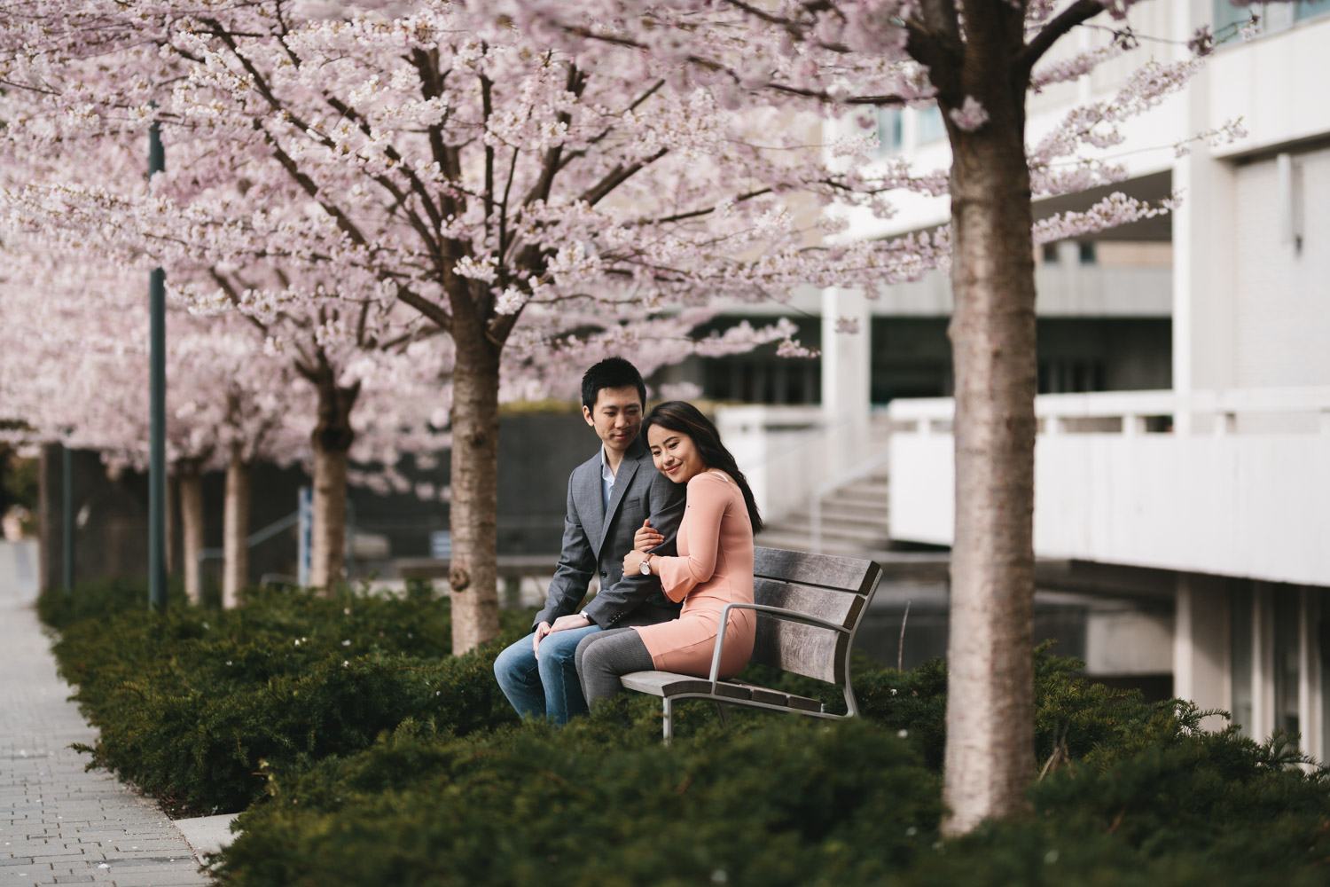 vancouver cherry blossom engagement photography at ubc