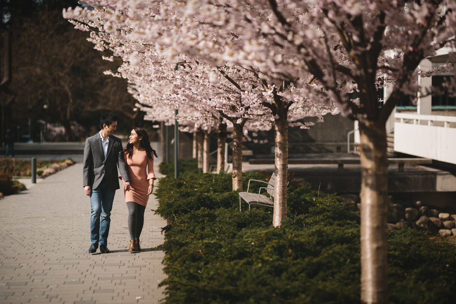 vancouver cherry blossom engagement photography at ubc