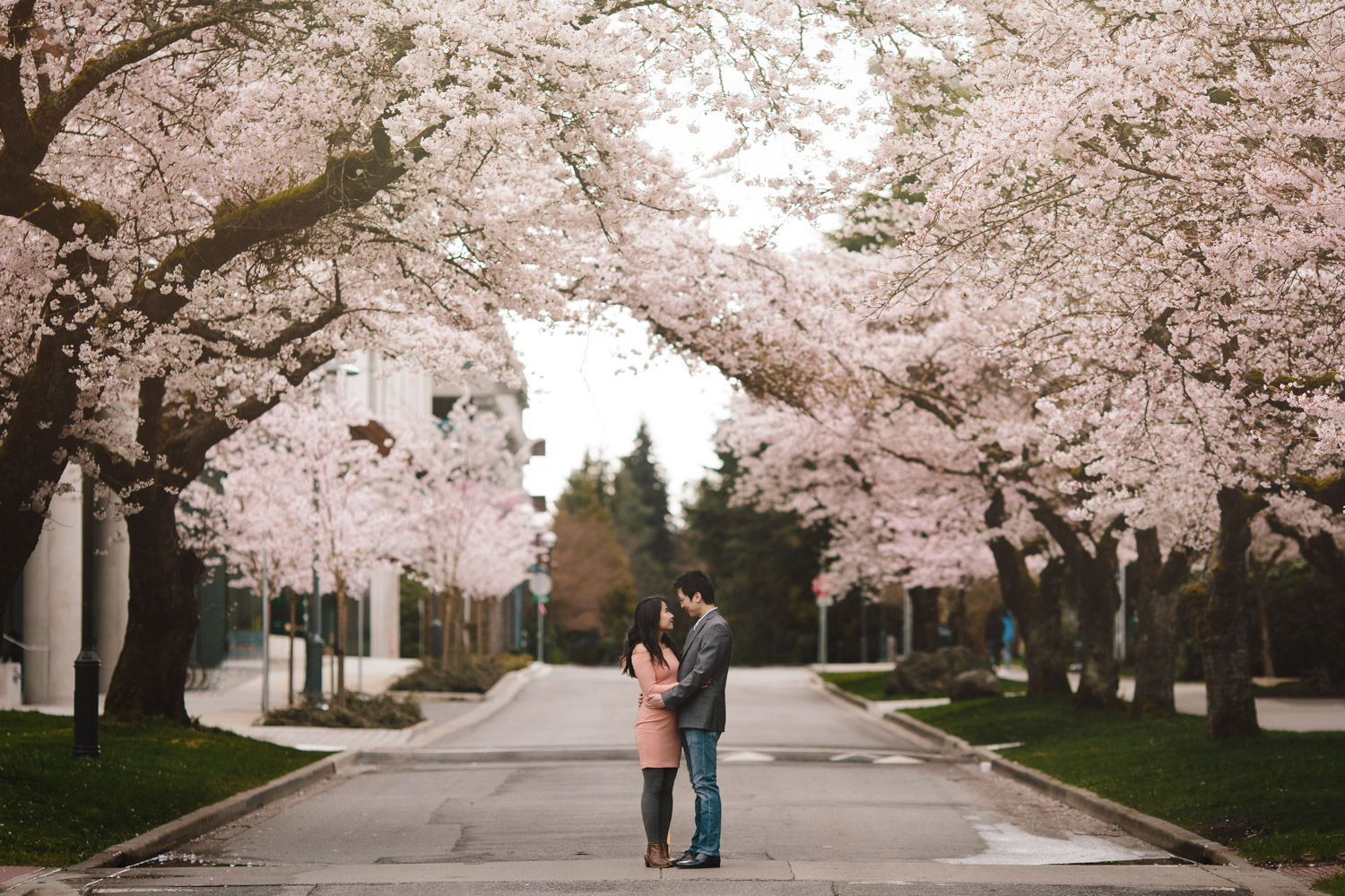 vancouver cherry blossom engagement photography at ubc