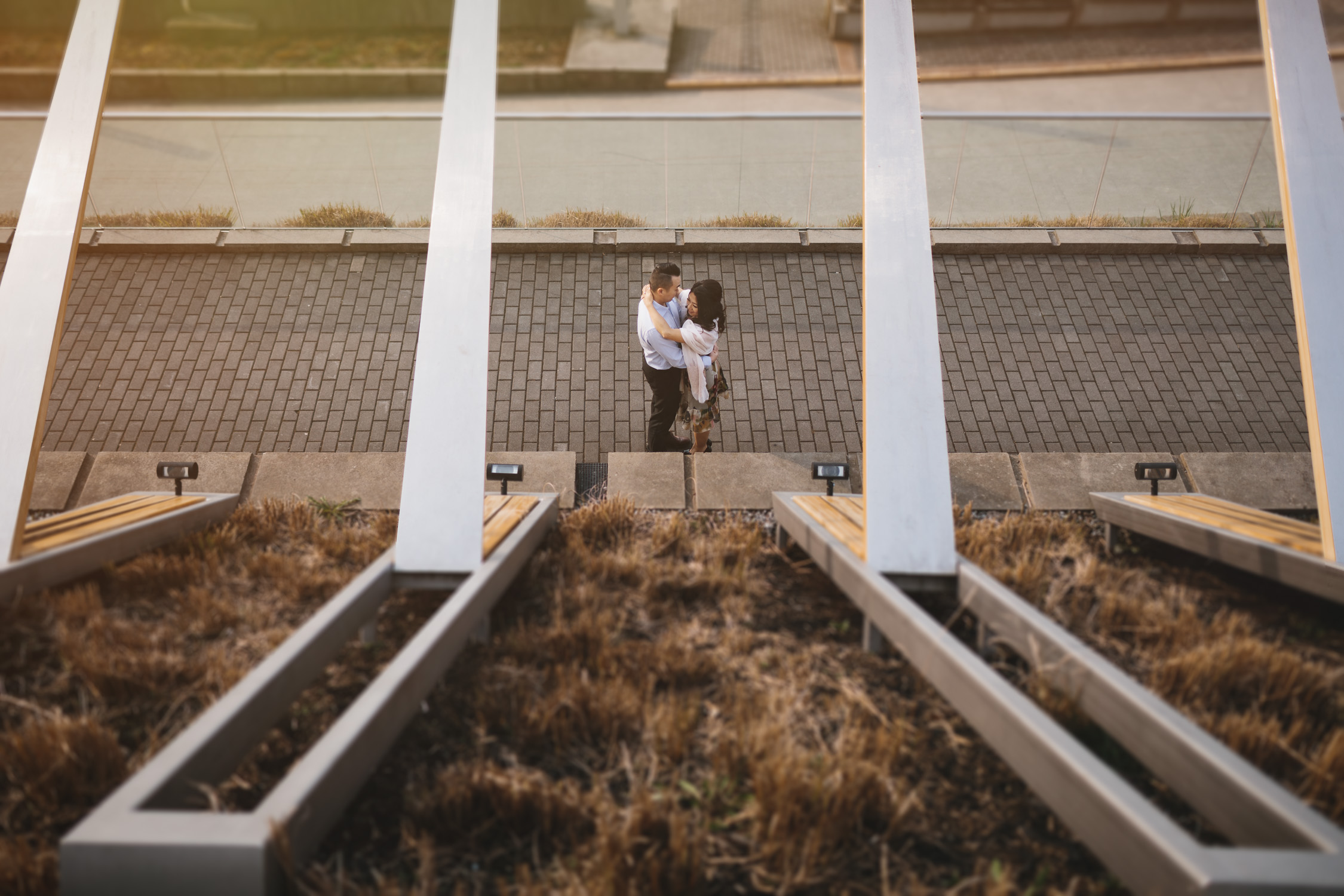 vancouver cherry blossom engagement photography in coal harbour downtown during sunset