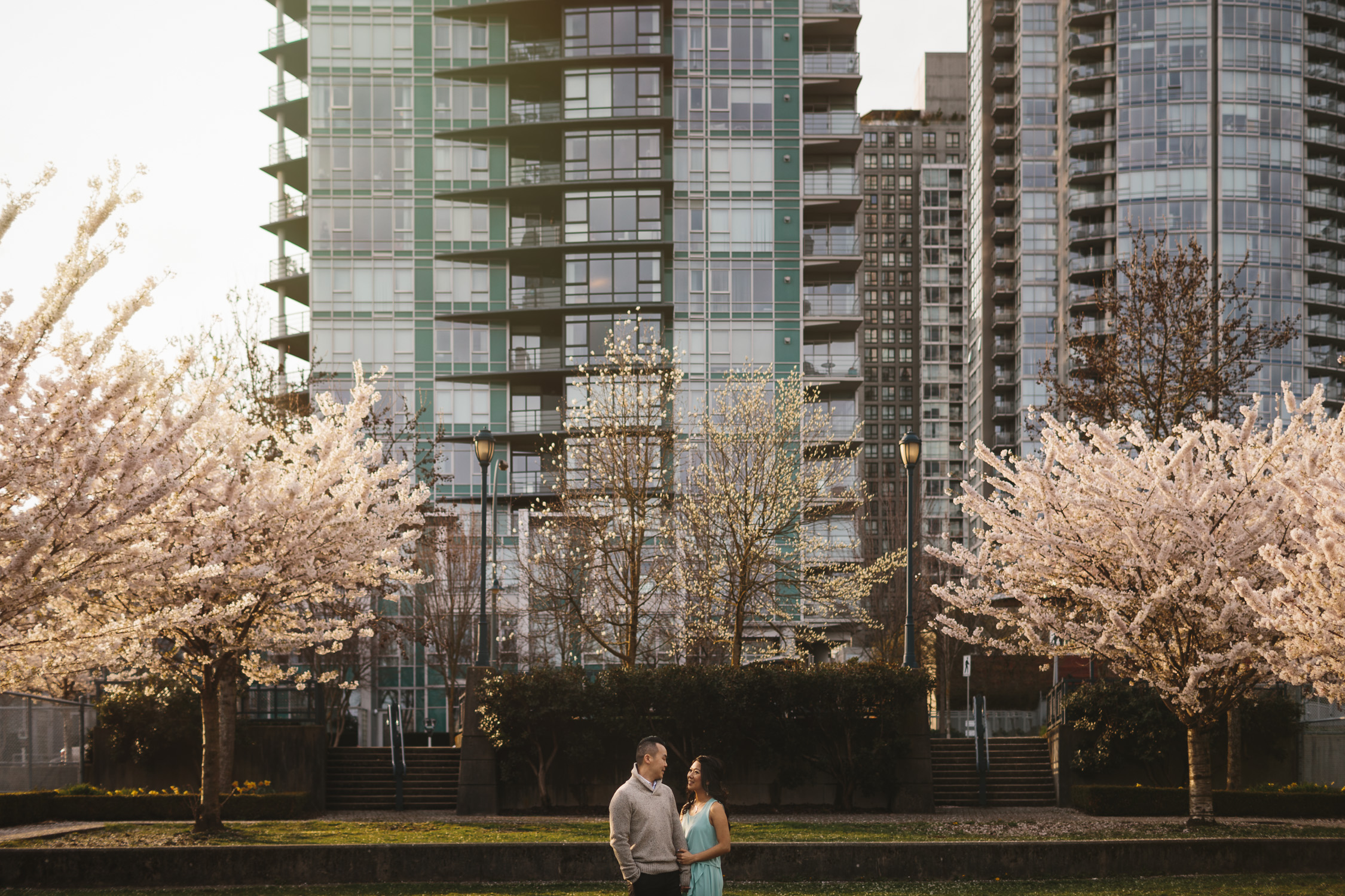 vancouver cherry blossom engagement photography in yaletown david lam park