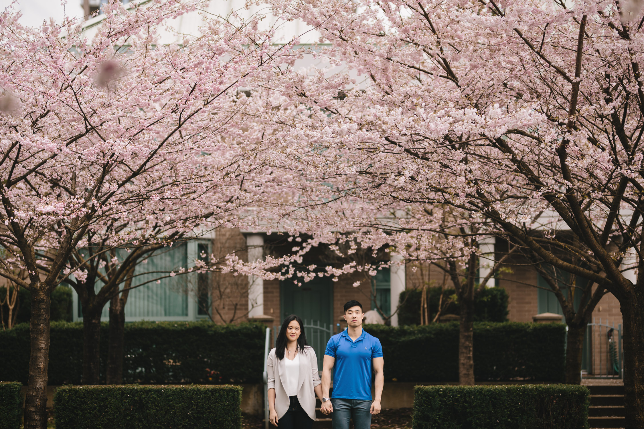 cherry blossom engagement photography north burnaby bc