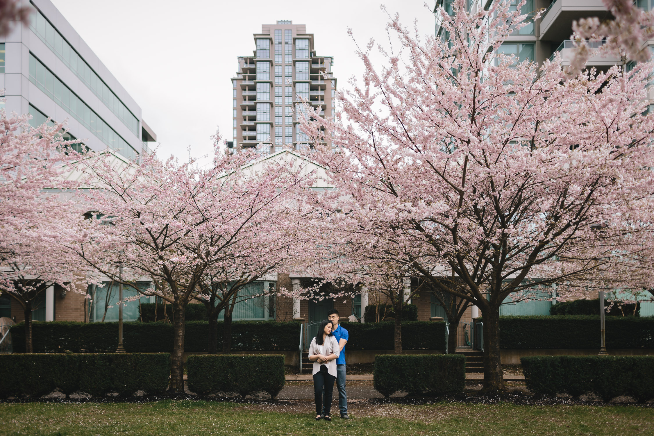 cherry blossom engagement photography north burnaby bc