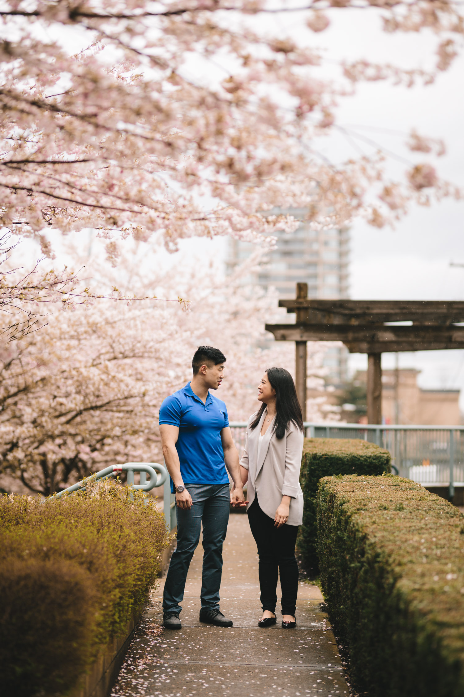cherry blossom engagement photography north burnaby bc
