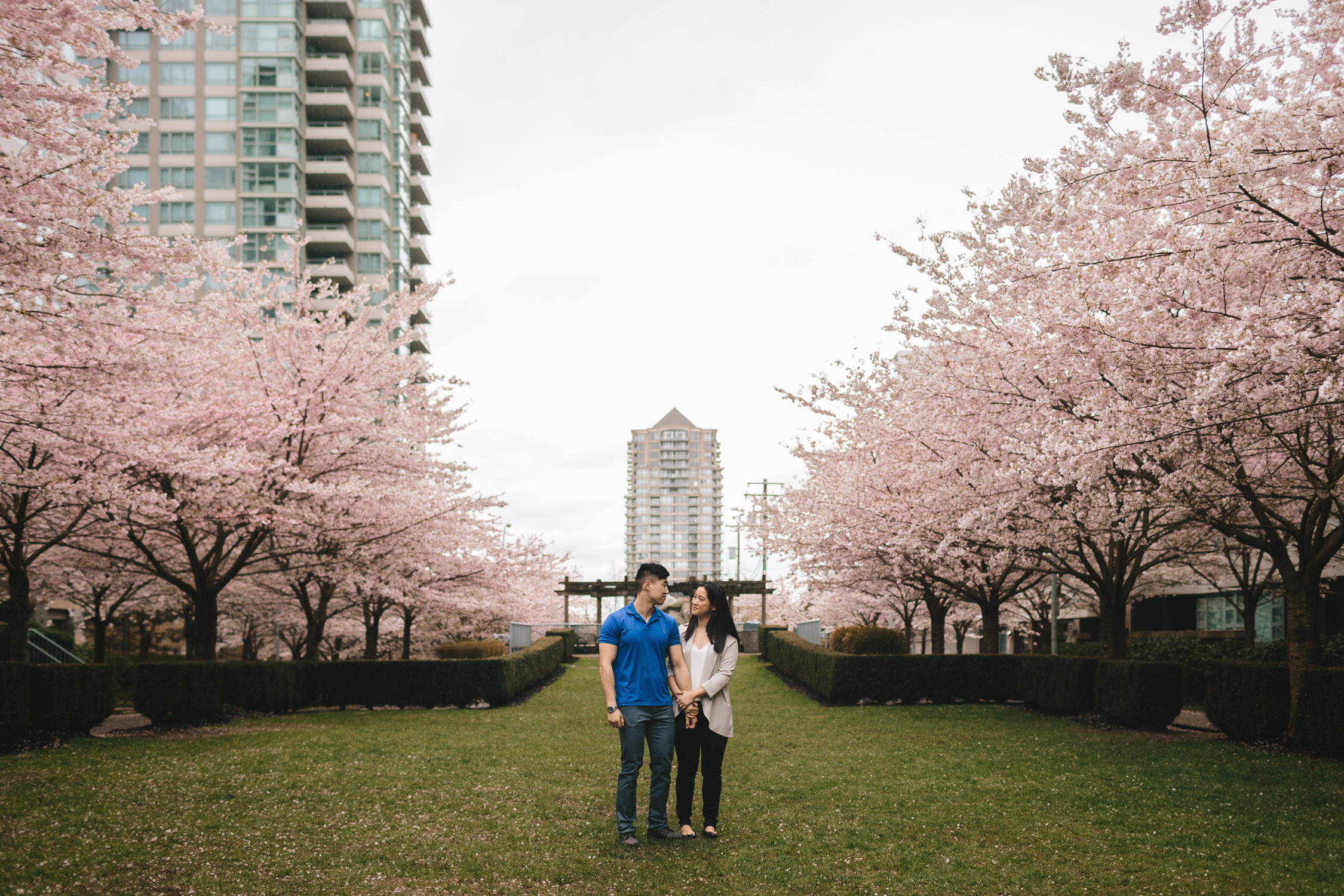 cherry blossom engagement photography north burnaby bc
