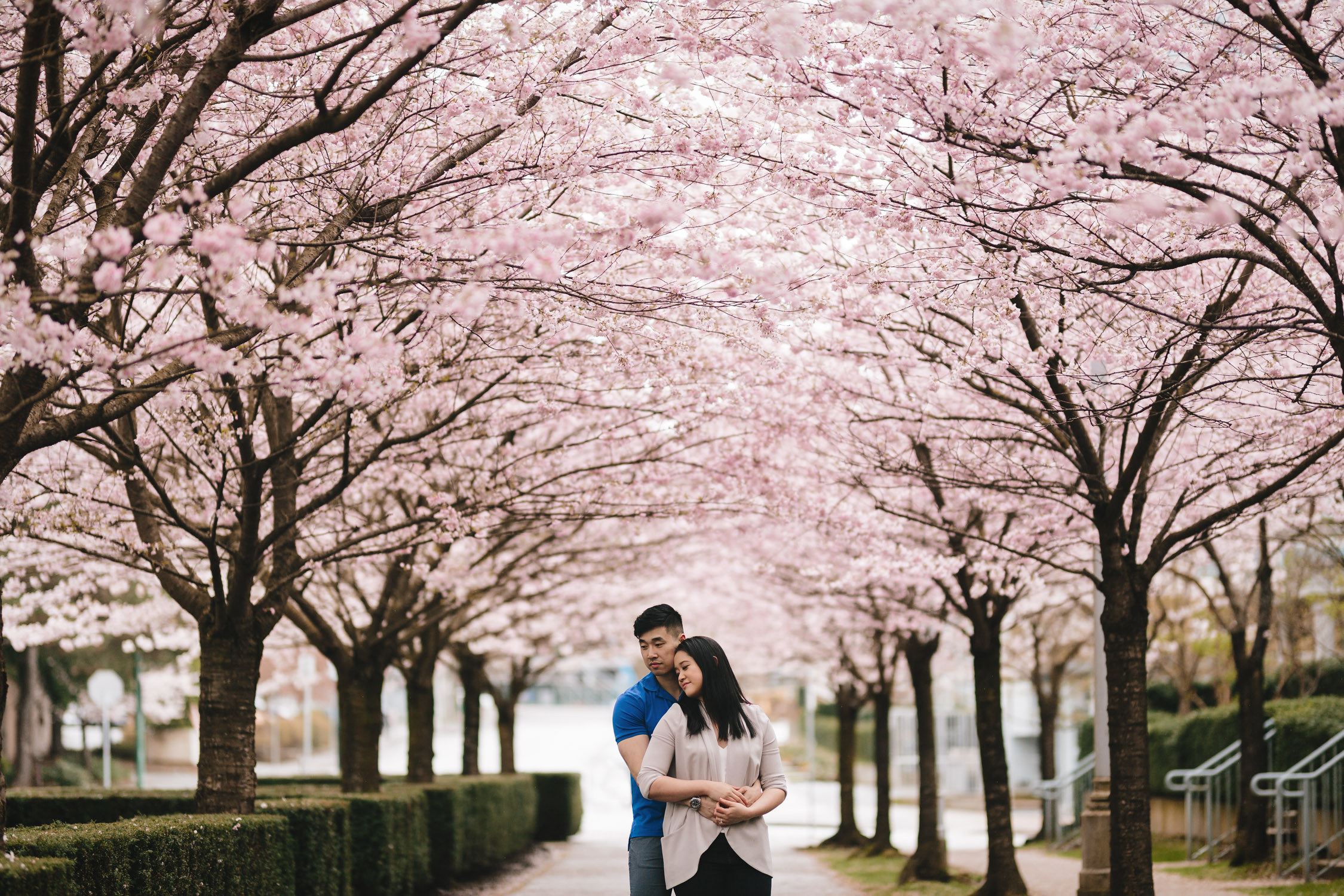 cherry blossom engagement photography north burnaby bc