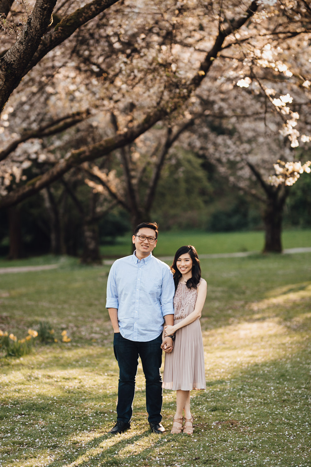 vancouver cherry blossom engagement photography in stanley park