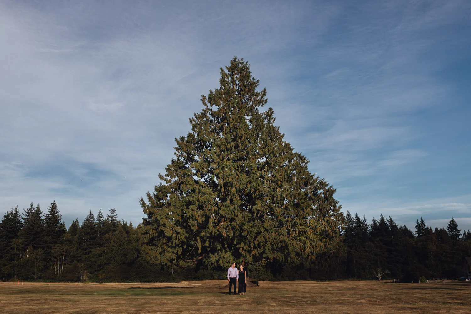 Campbell Valley Park engagement photography in Langley BC during summer