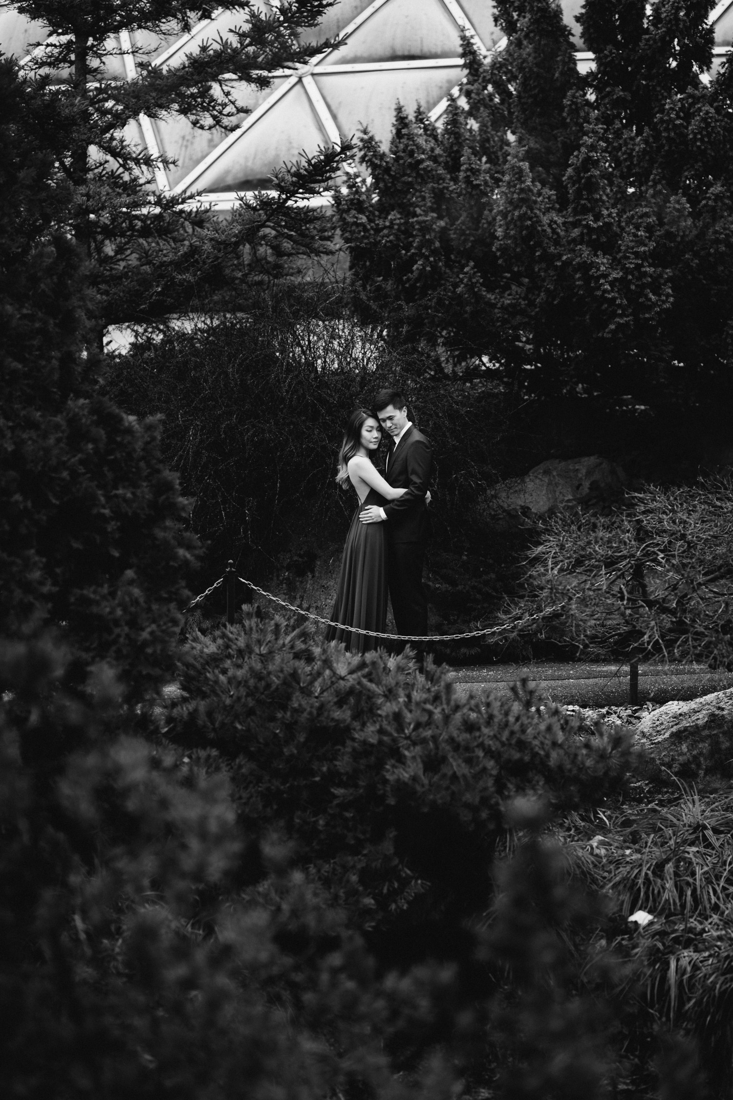 queen elizabeth park winter engagement photography photos vancouver bc