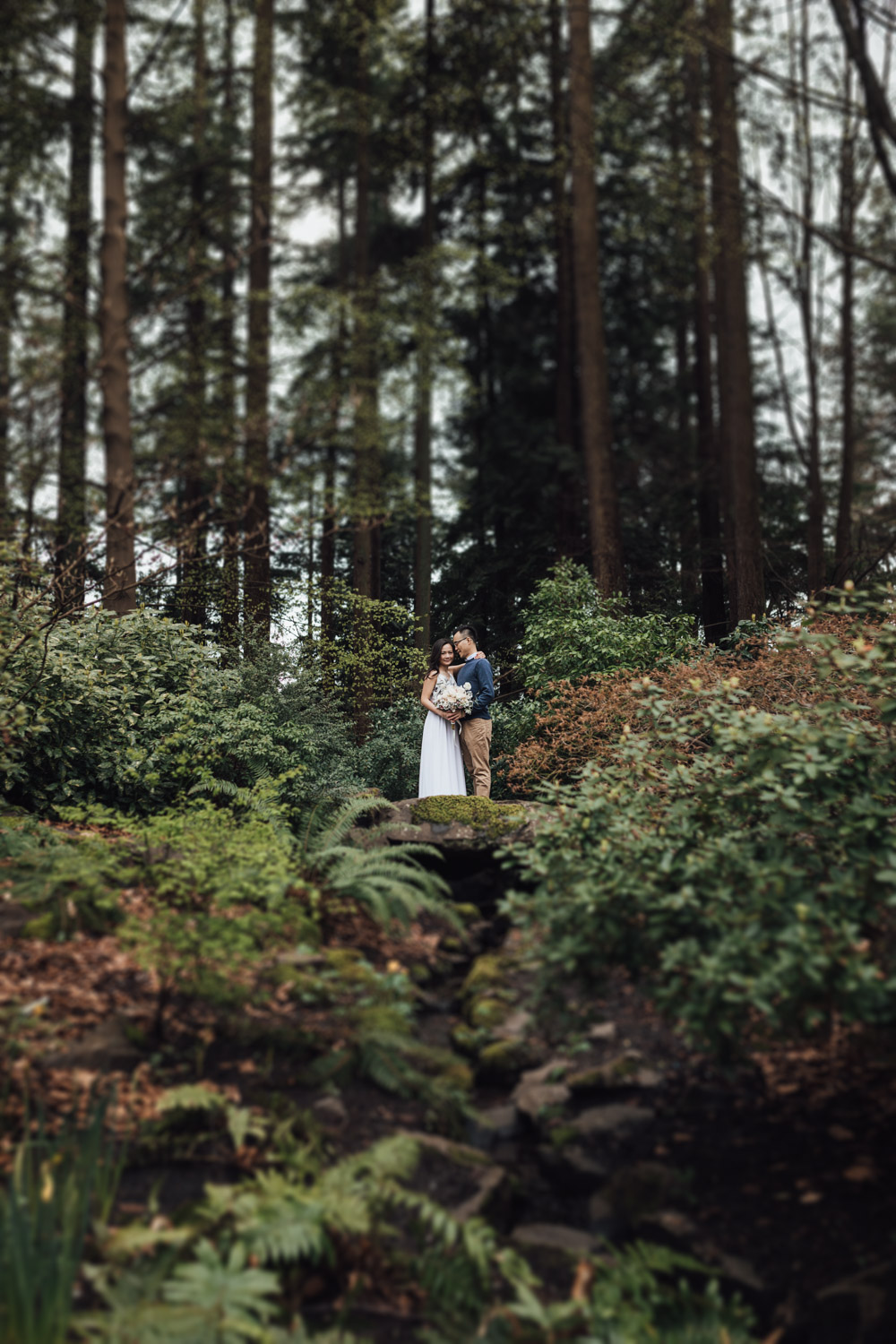 stanley park forest engagement photography vancouver bc