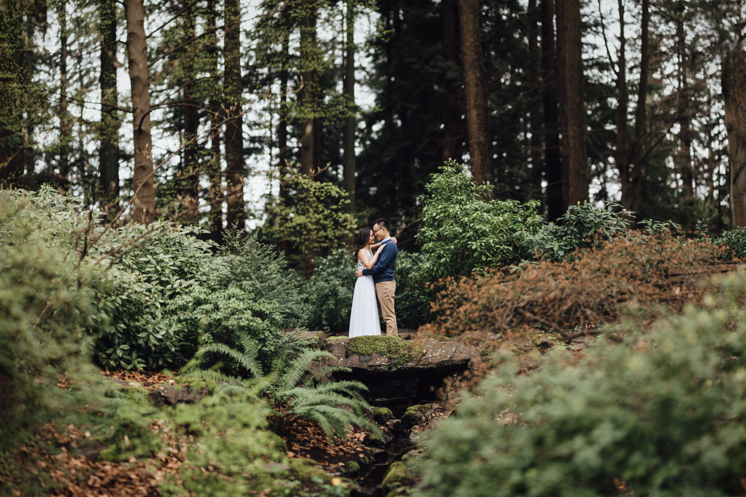 stanley park forest engagement photography vancouver bc