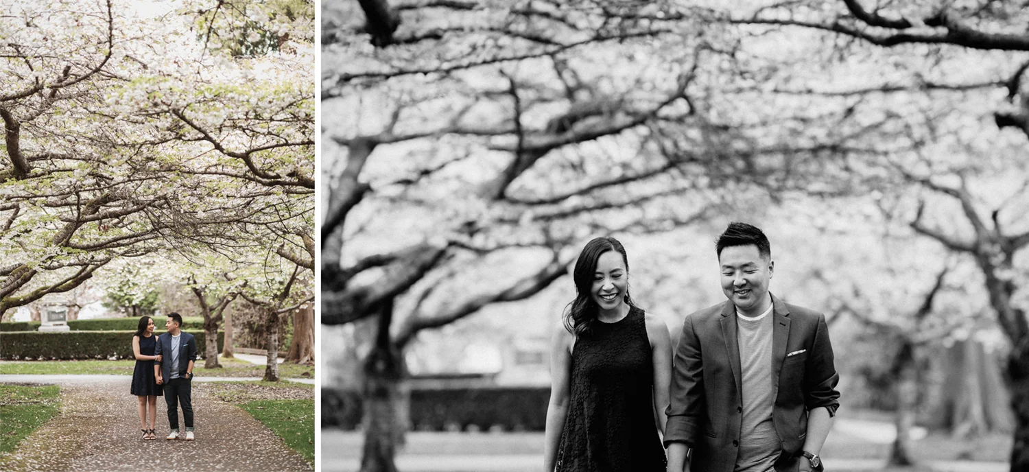 vancouver stanley park engagement photography spring cherry blossoms