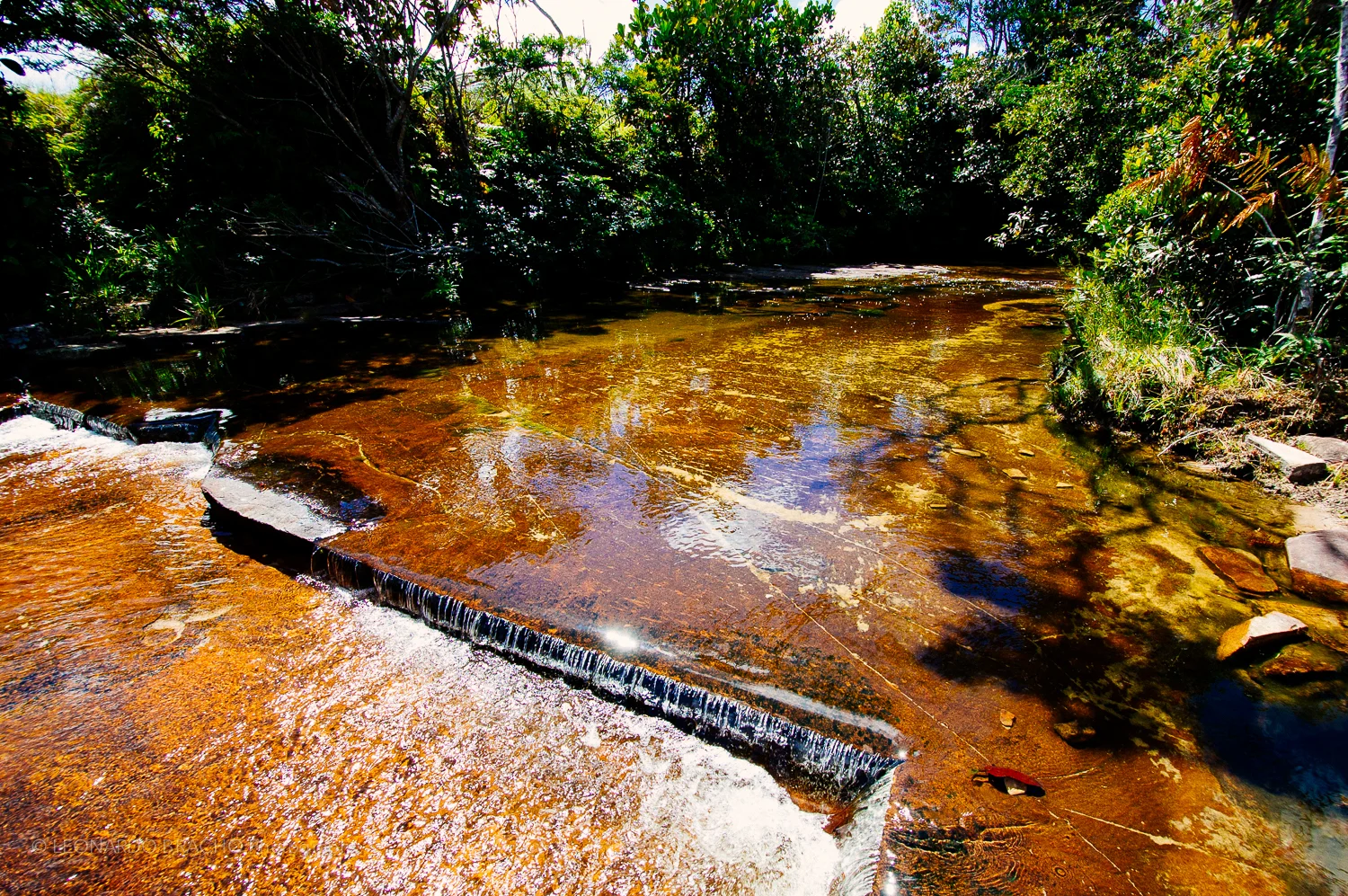 2009-12-27 Gran Sabana14_LeonardoBracho.jpg