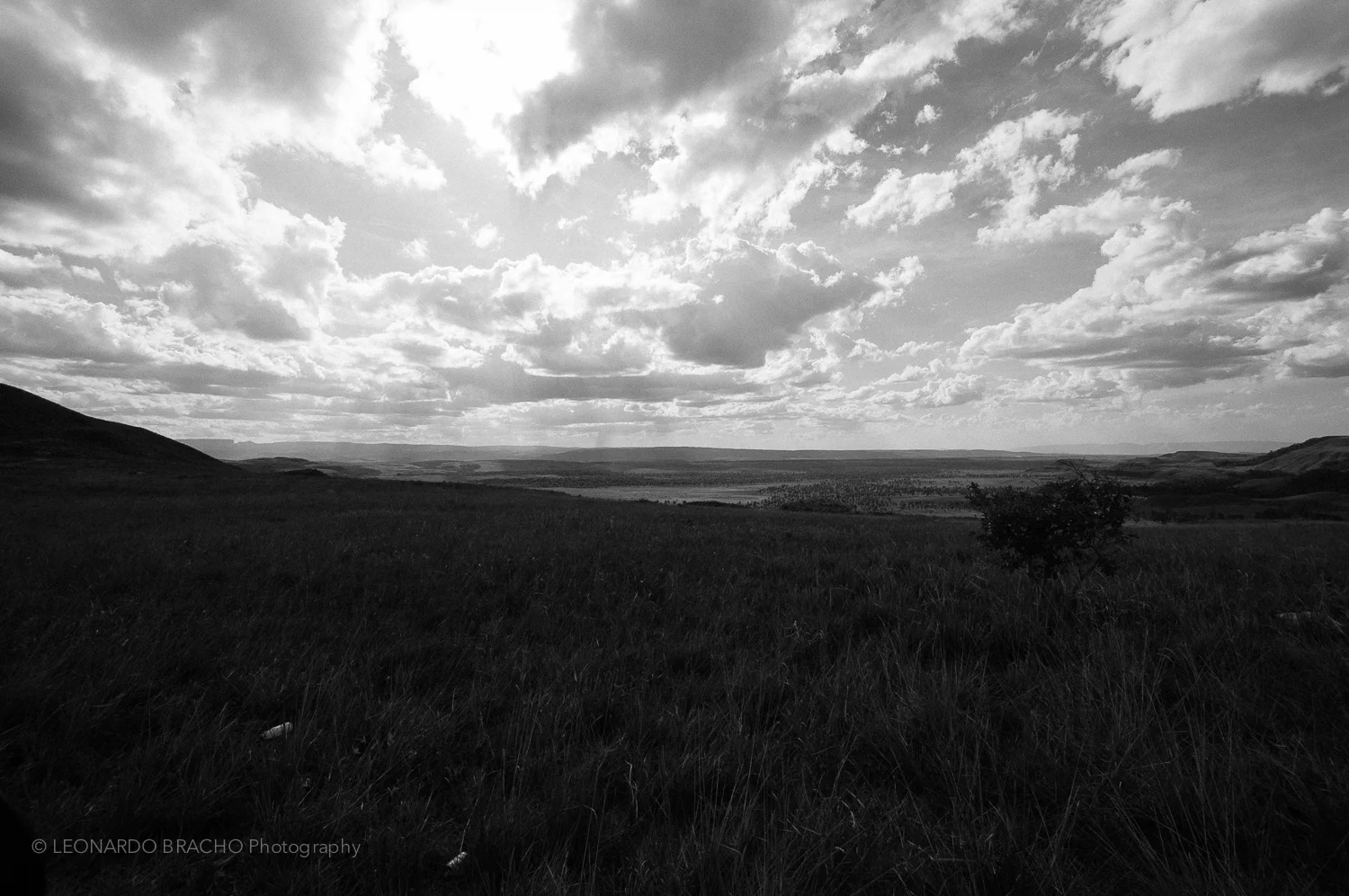 2009-12-27 Gran Sabana18_LeonardoBracho.jpg