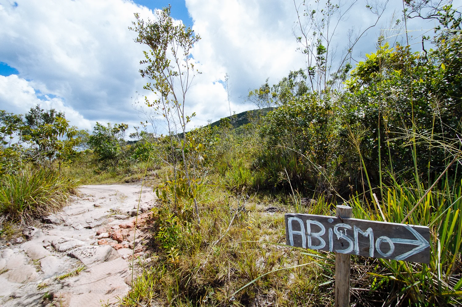 2009-12-28 Gran Sabana23_LeonardoBracho.jpg