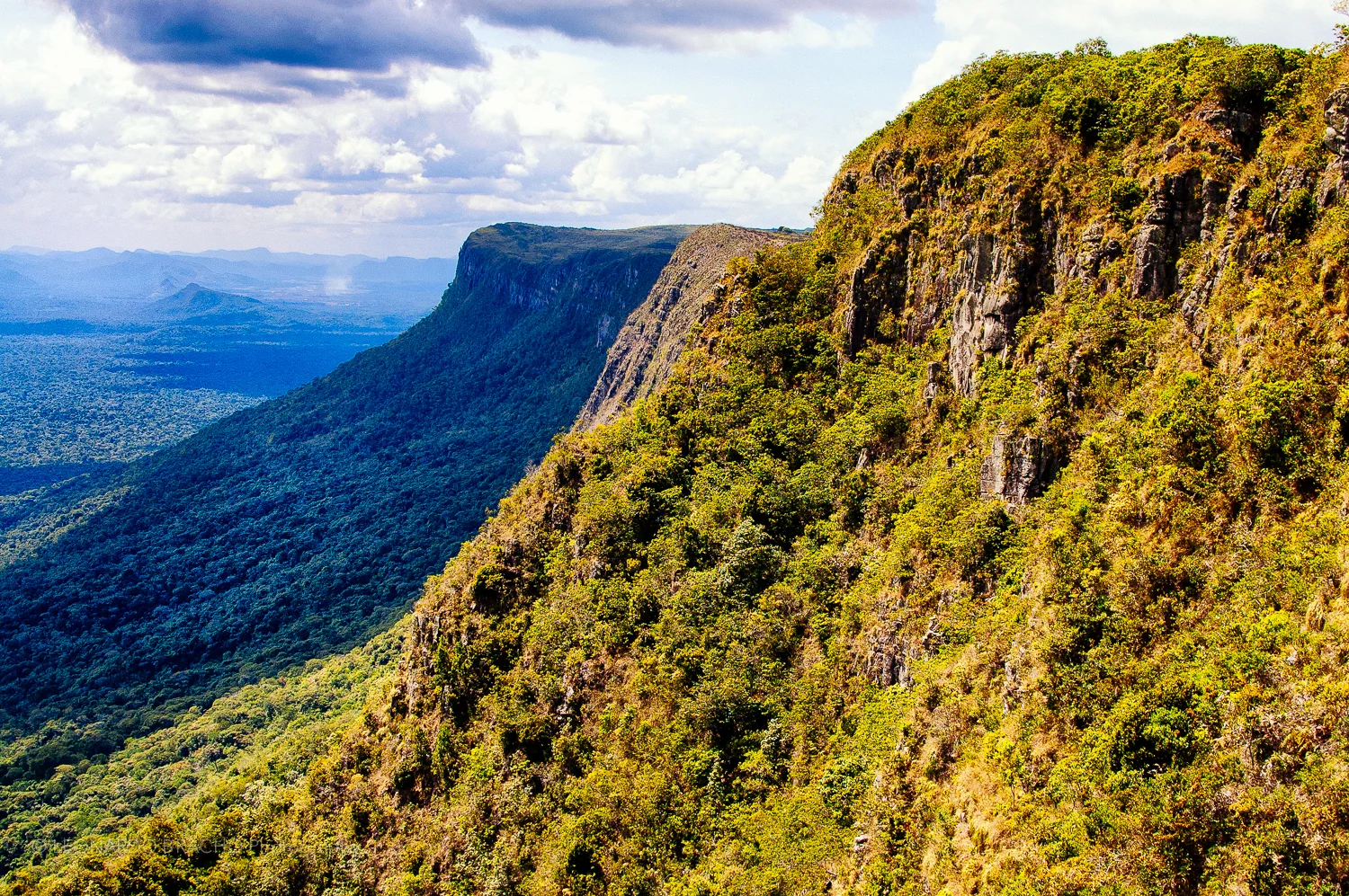 2009-12-28 Gran Sabana27_LeonardoBracho.jpg