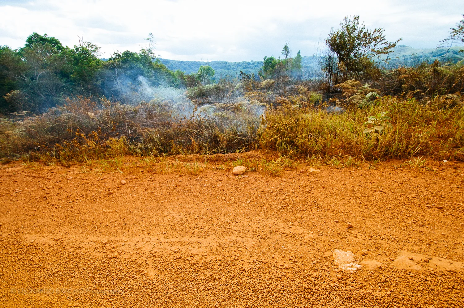 2009-12-28 Gran Sabana32_LeonardoBracho.jpg