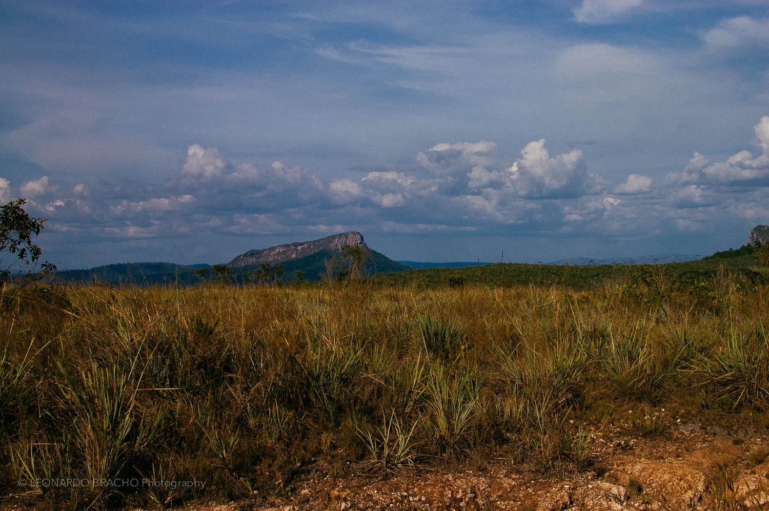 2009-12-28 Gran Sabana37_LeonardoBracho.jpg