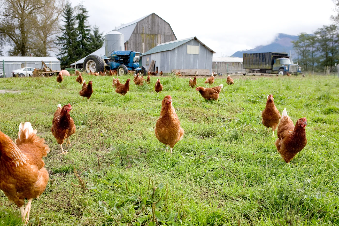 0337_farmday.jpg