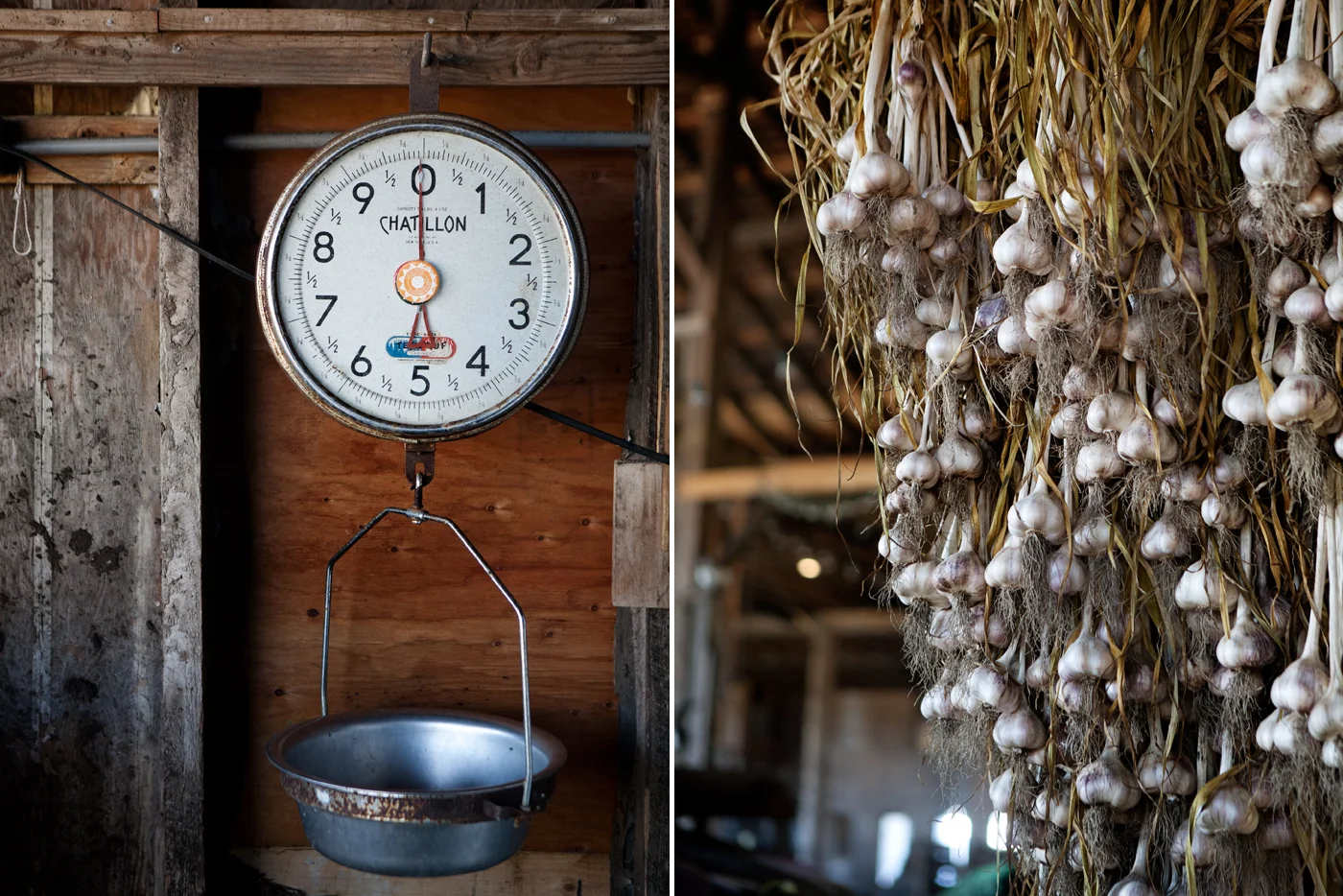 farm006.jpg