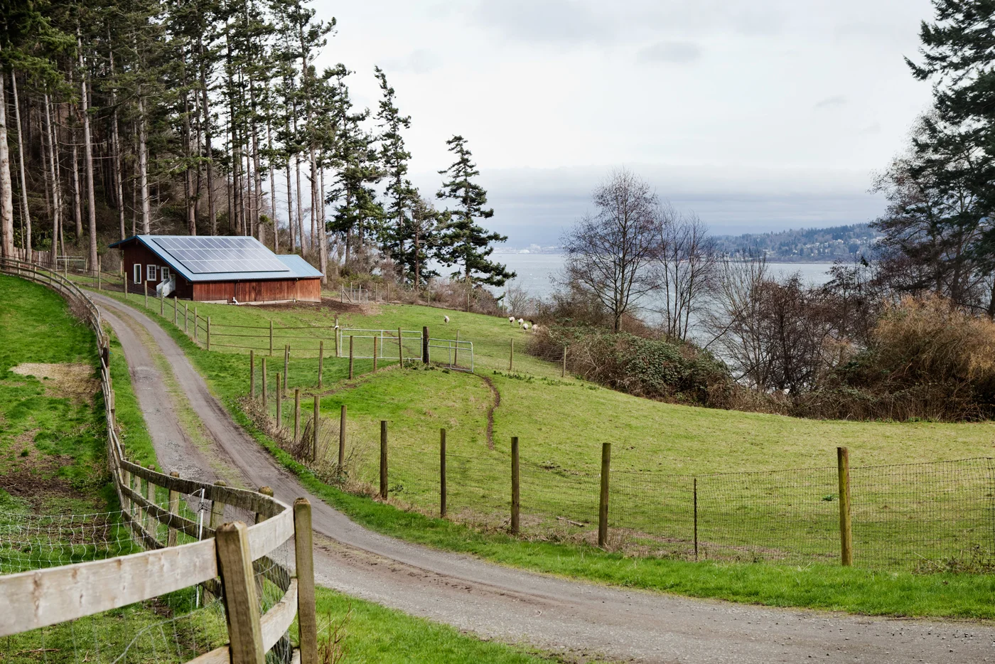 farm009.jpg