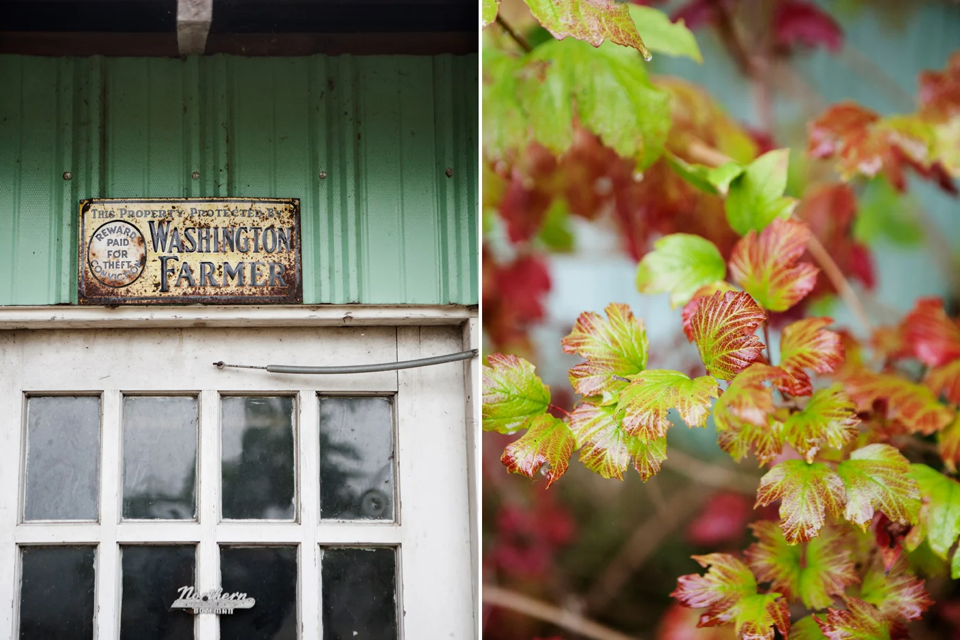 farm011.jpg