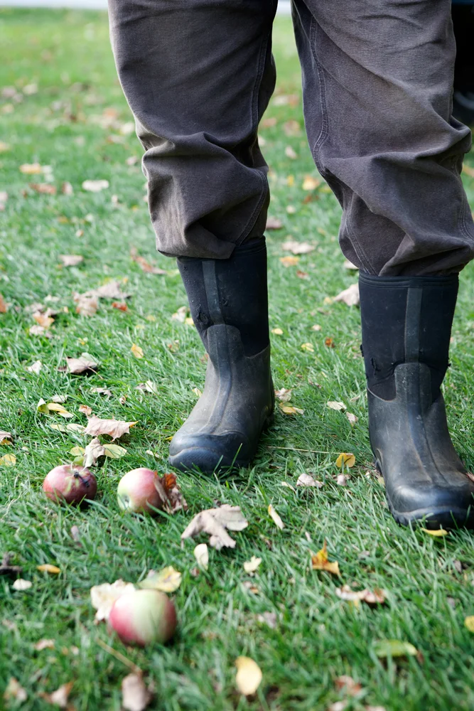 windfall3.jpg