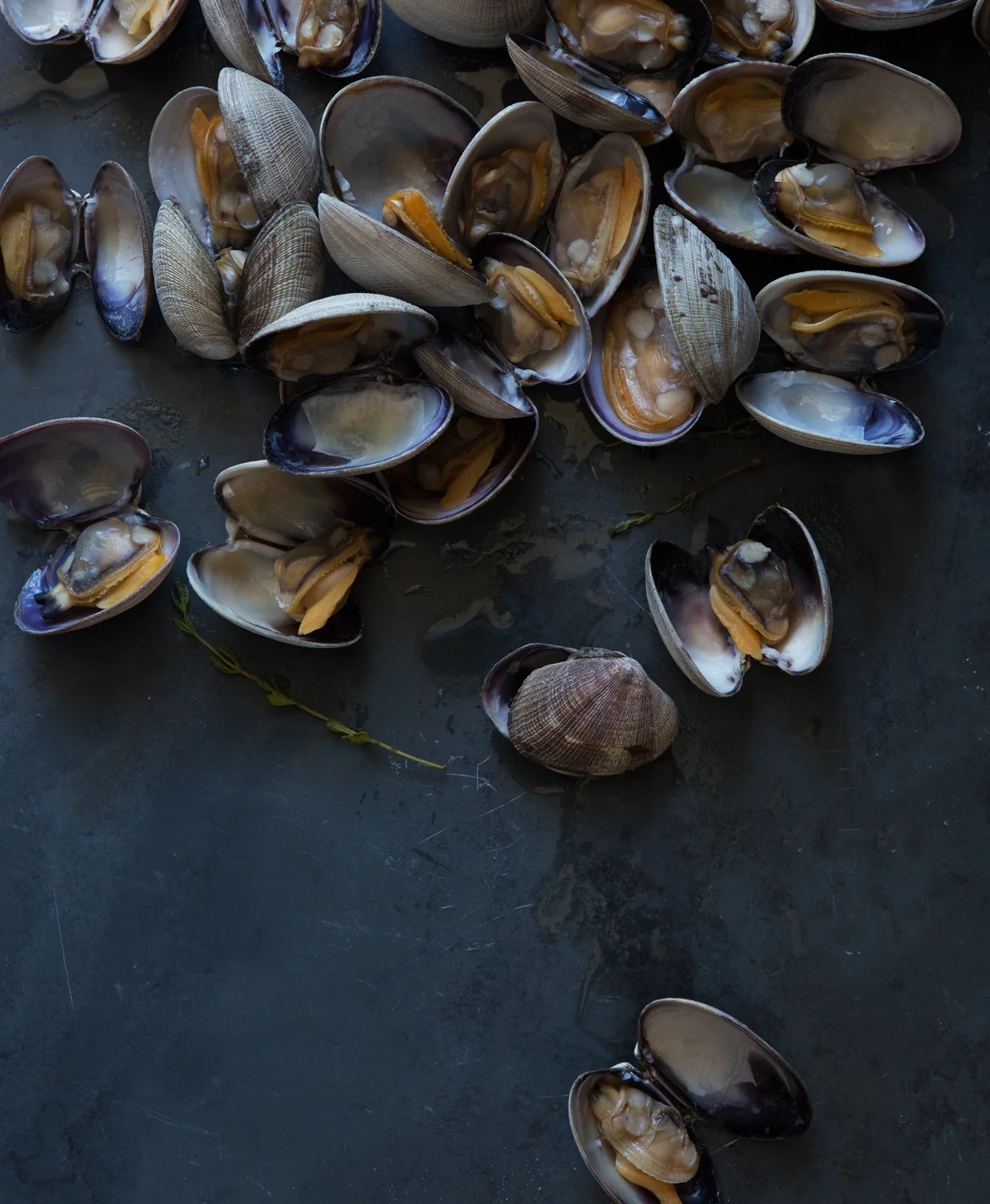 clams.jpg