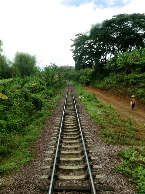 Tracks.jpg