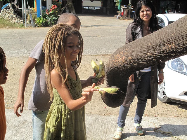 YaYa elephant.jpg
