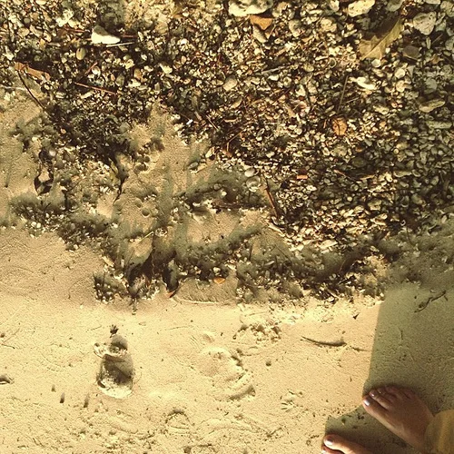 Detritus.jpg